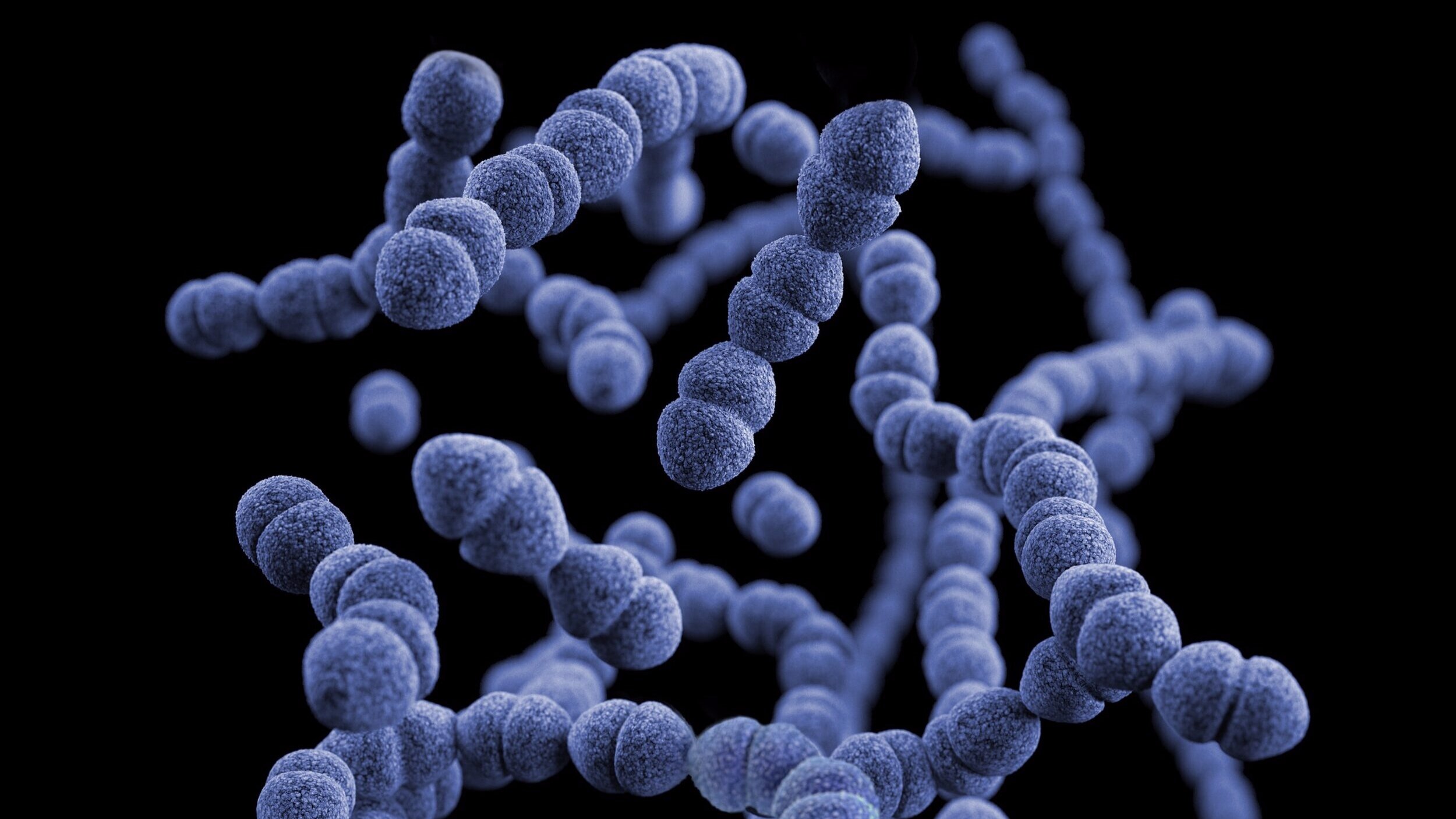 ADHS offers COVID-19 webinar for faith-based organizations