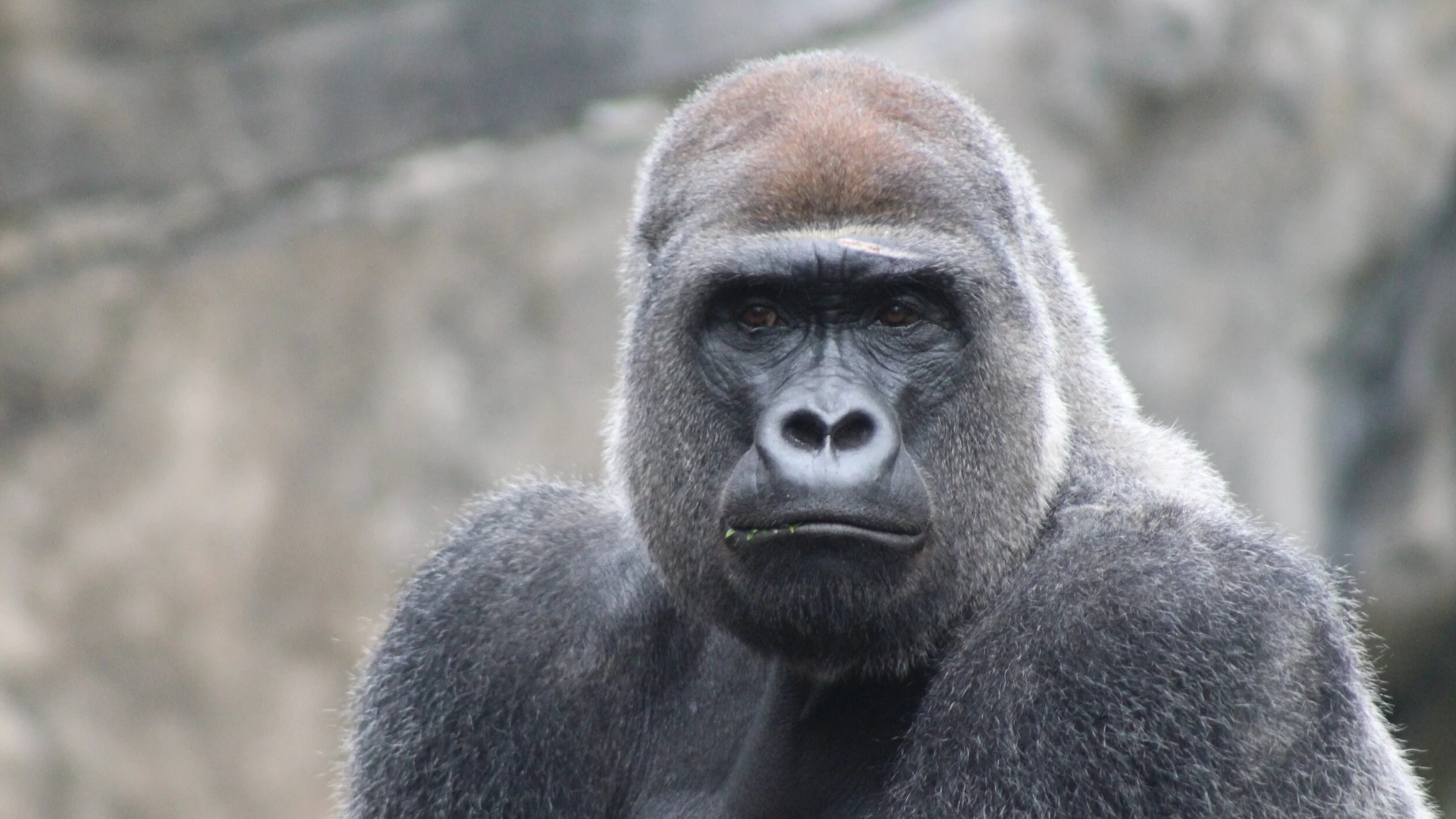 Faith Lens: So Obvious?