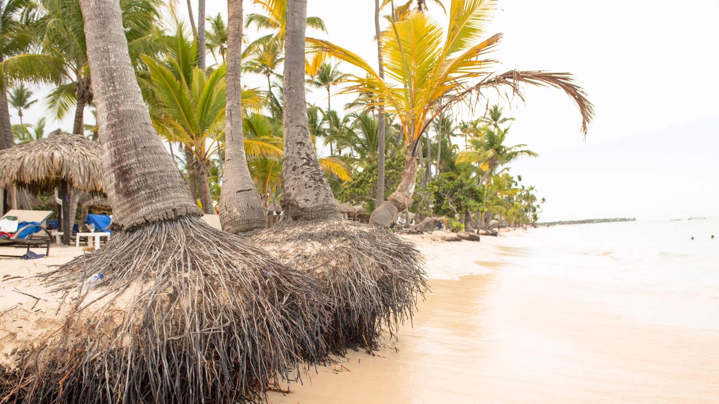 A magnificent World Water Day