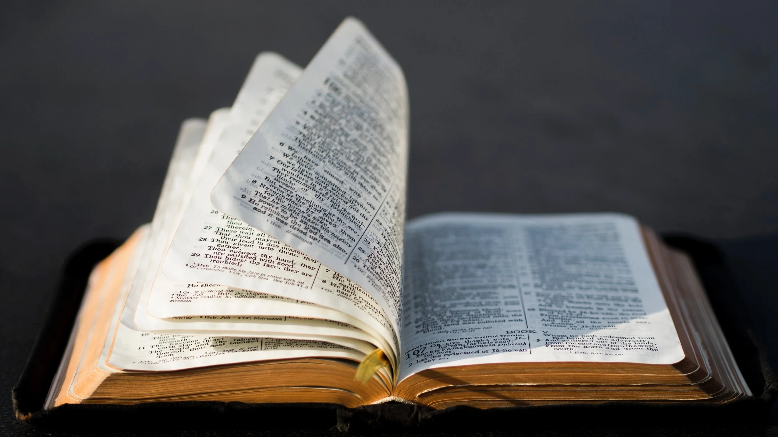 Prayers for Pastor Scott Stein