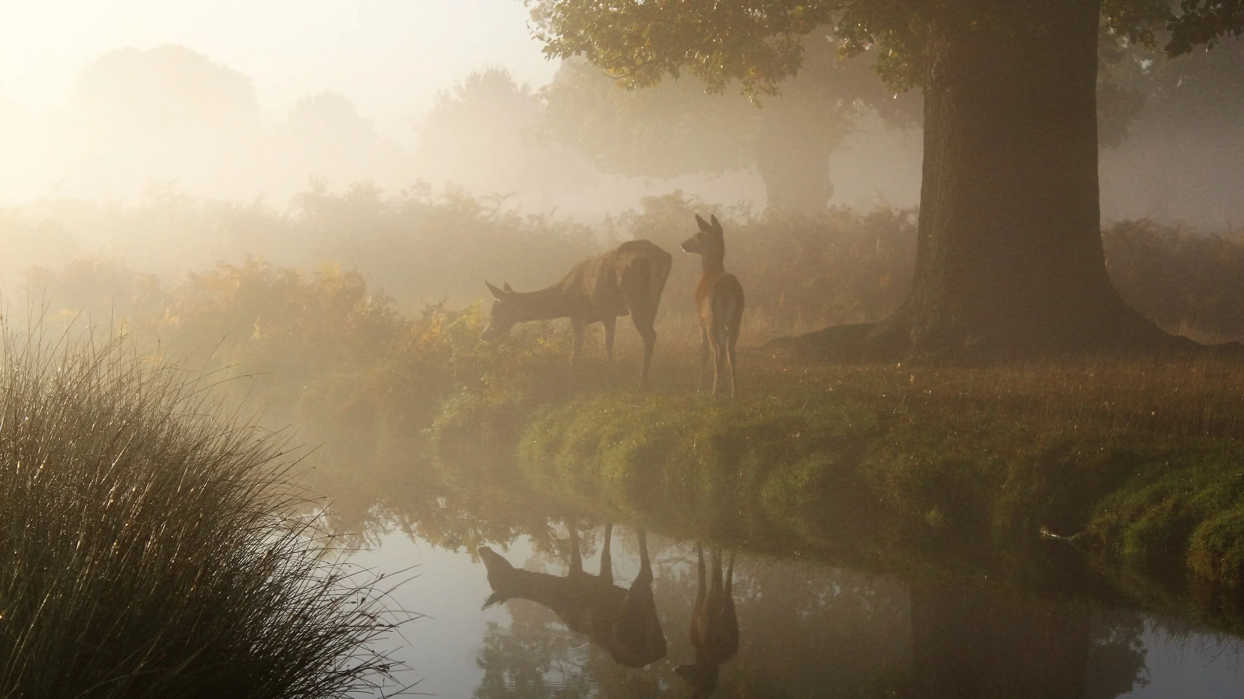 Pastor Gomez-Acosta: Our hope can only be in God