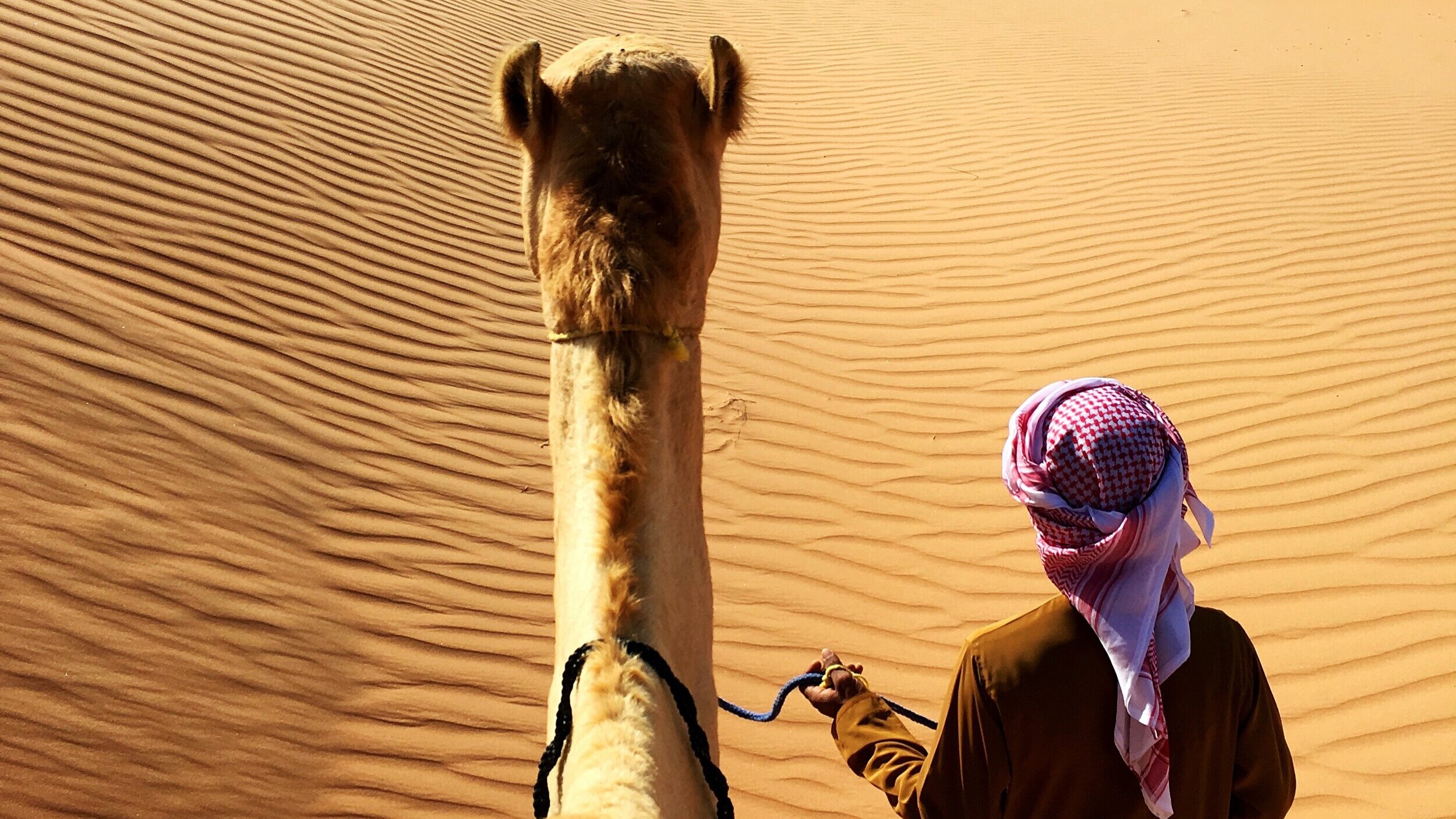 Lessons in Hospitality During National Arab American Heritage Month