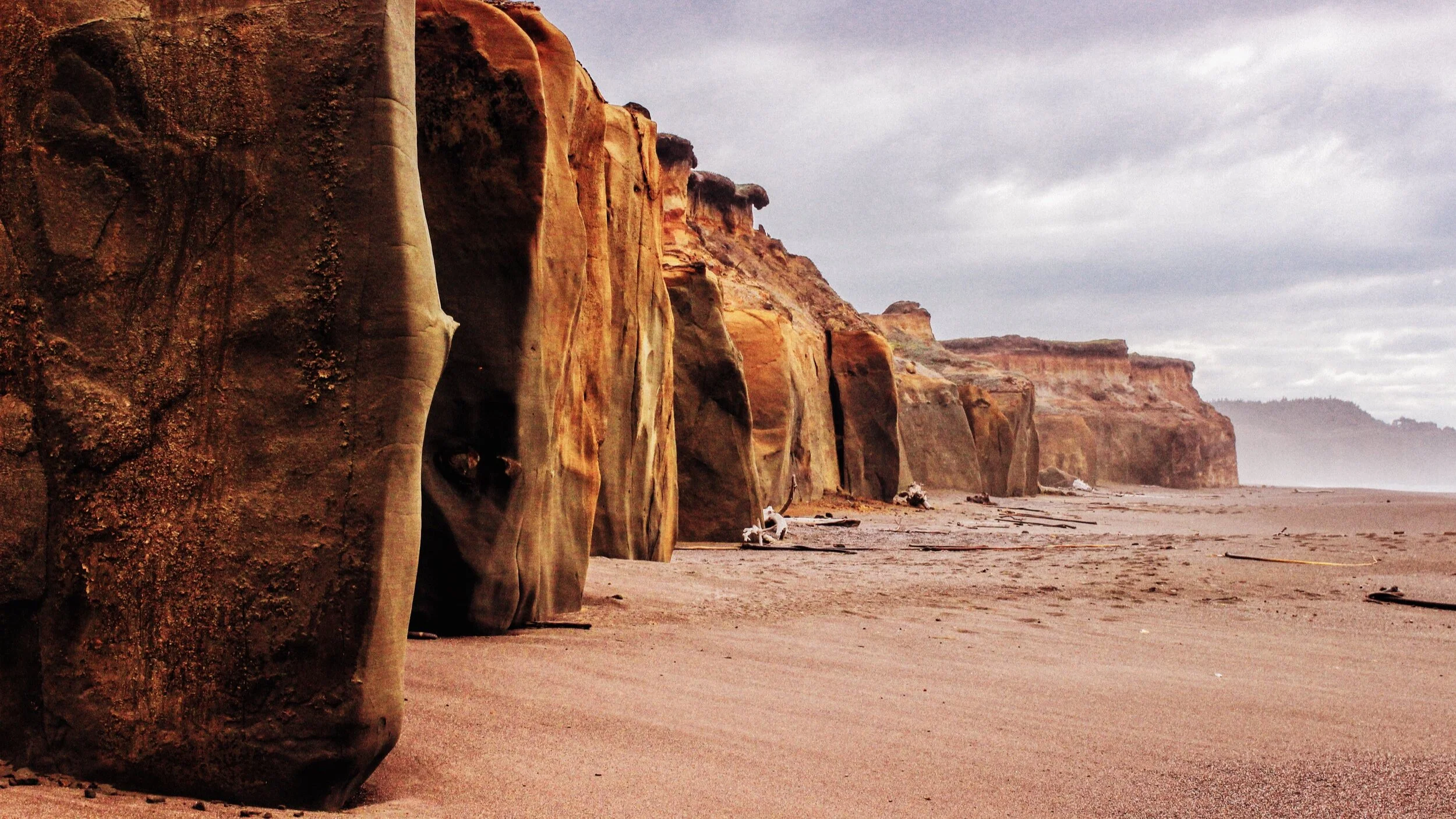 Allie Papke-Larson: The valley of dry bones