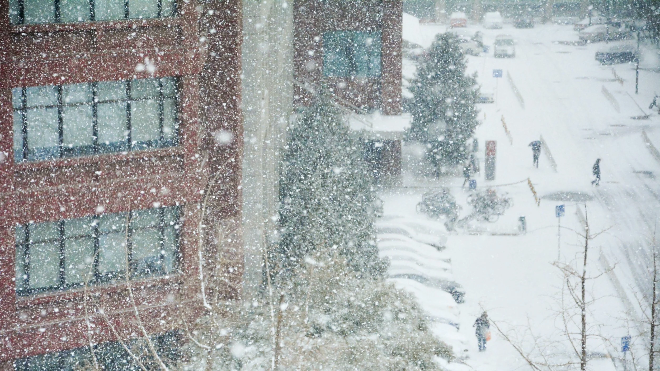 Leading Beyond the Blizzard: Why Every Organization Is Now a Startup