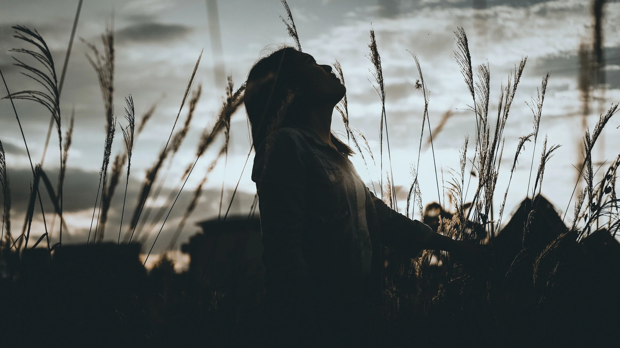 More Days for Praise available for home devotions