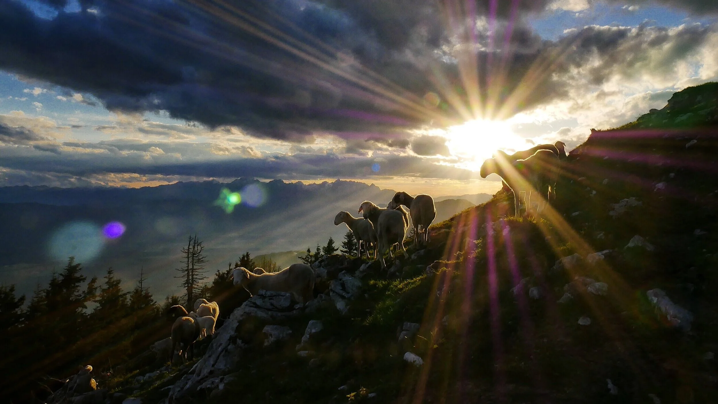 Worship in the Home: Sunday, May 3, 2020