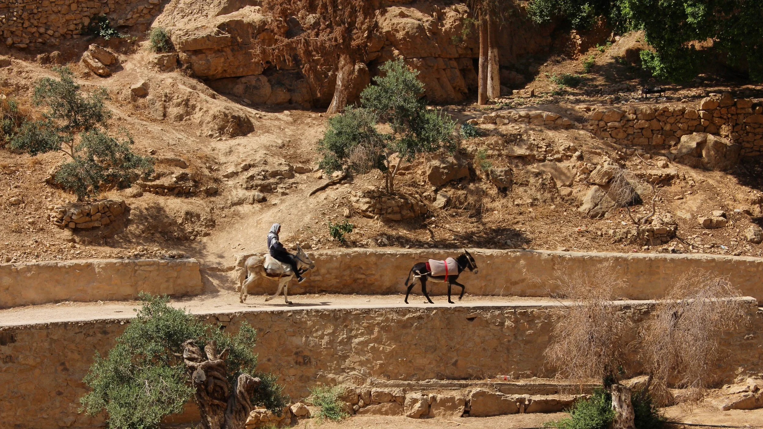 Sermon from Rev. Gomez-Acosta, 4/26/2020