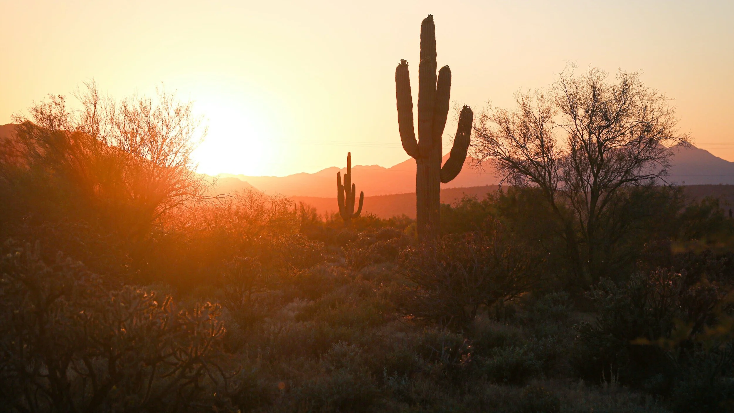 Farewell and Godspeed to Rev. Alan Field