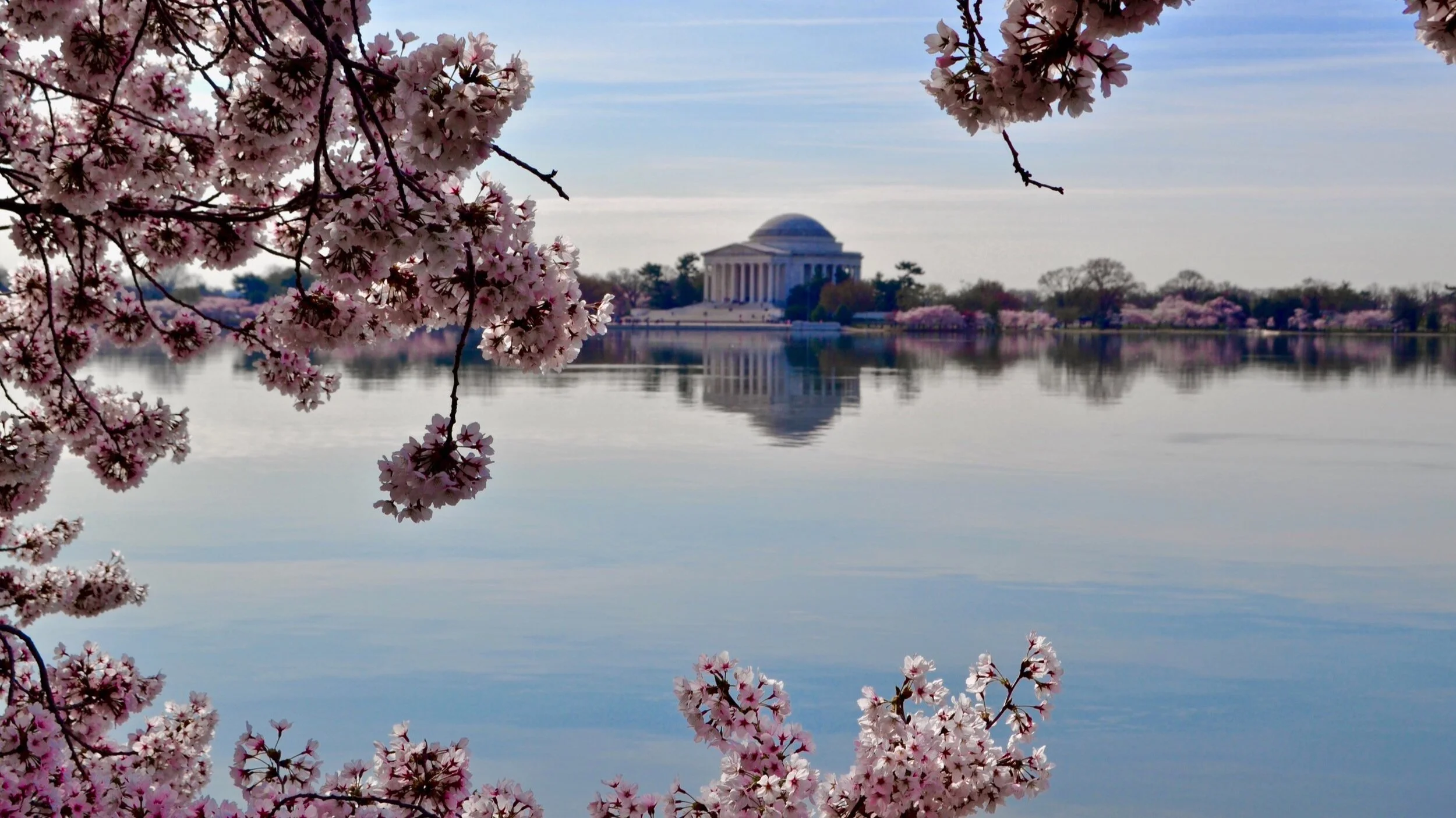 ELCA Advocacy May 2020 Advocacy Connections update