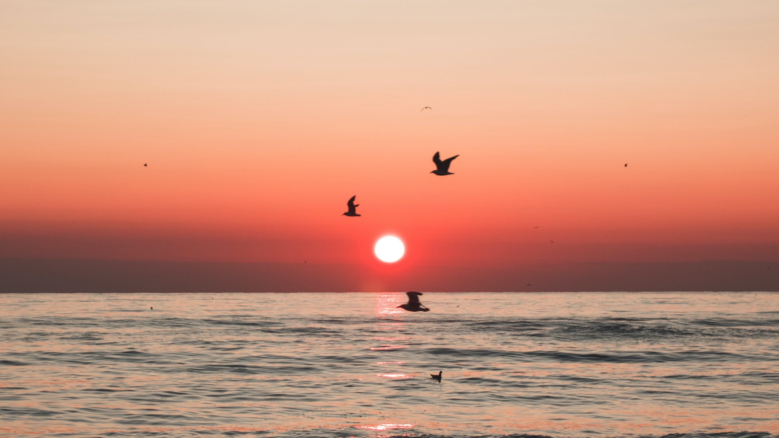 Prayers for the family of Pastor Pat Reed