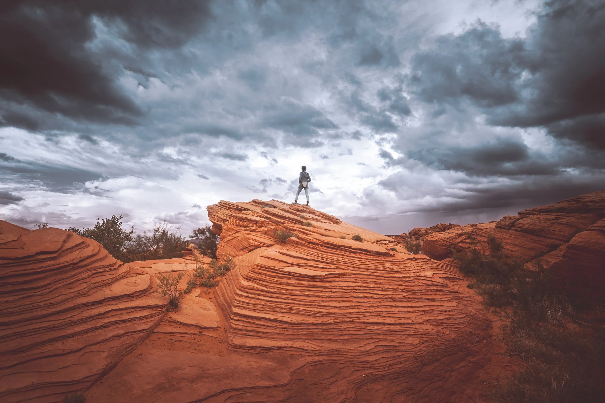 June 2020 Daily Prayer Ventures