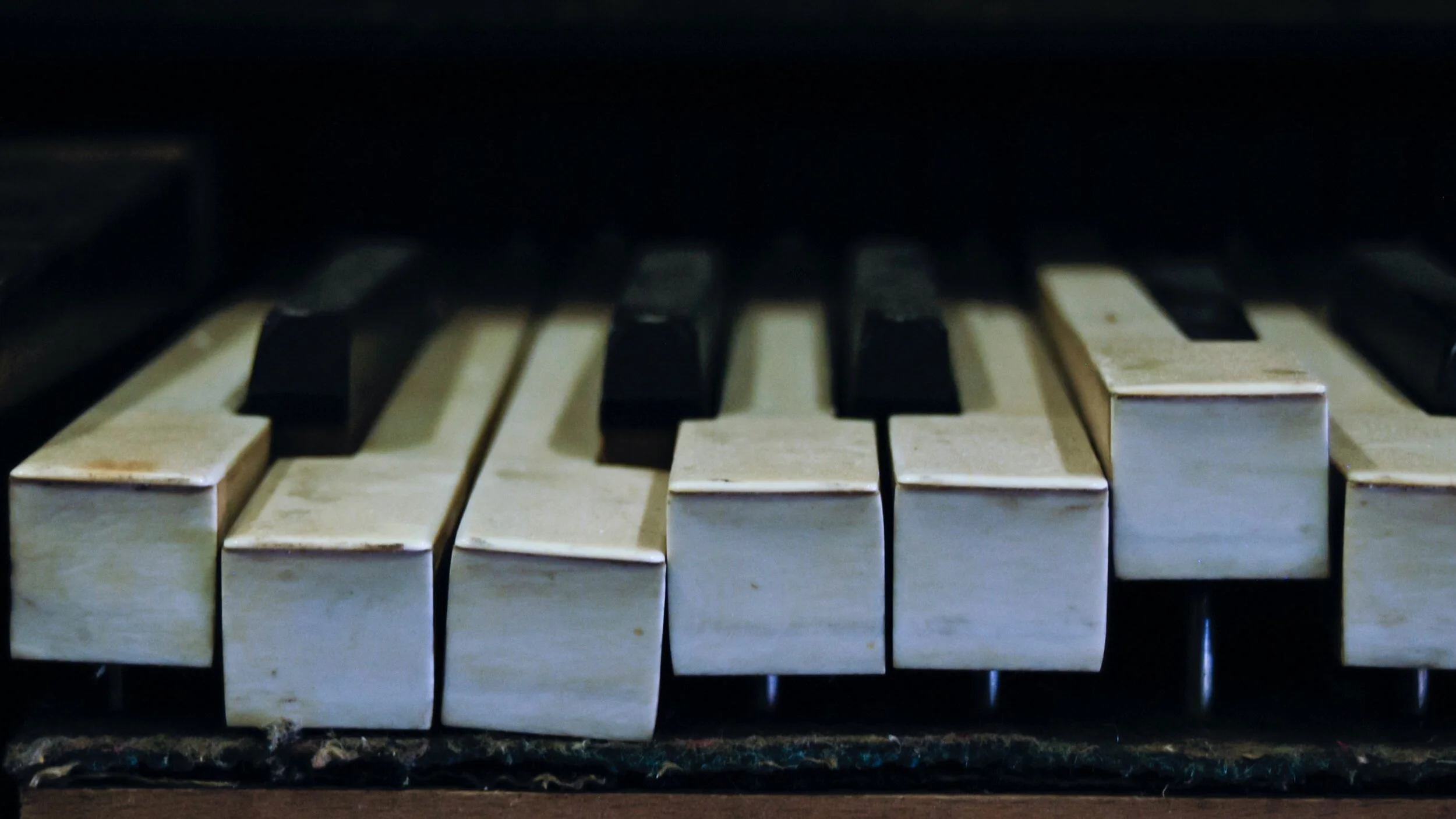 Shari Seifert: The Broken Ones