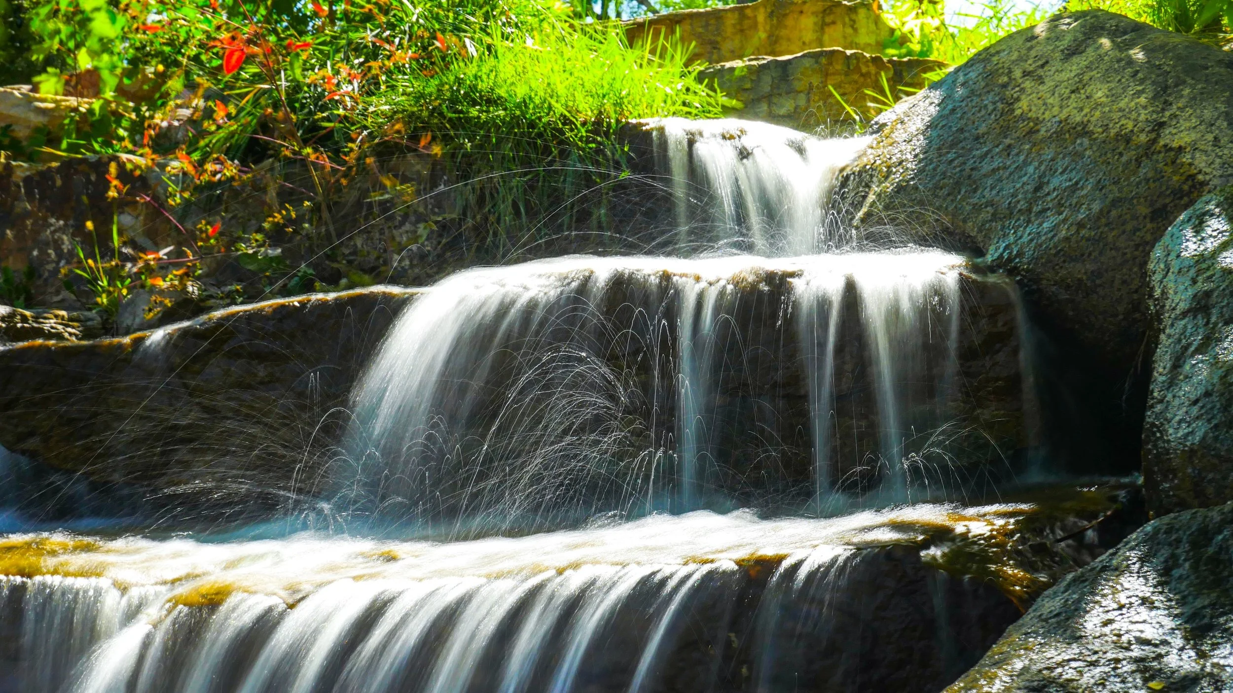 Web Event: Planning for 2020 Stewardship Appeal