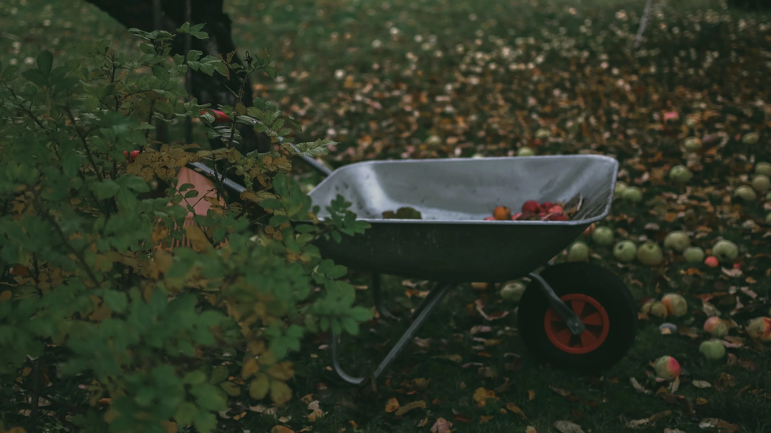 ELCA calendar of stewardship events