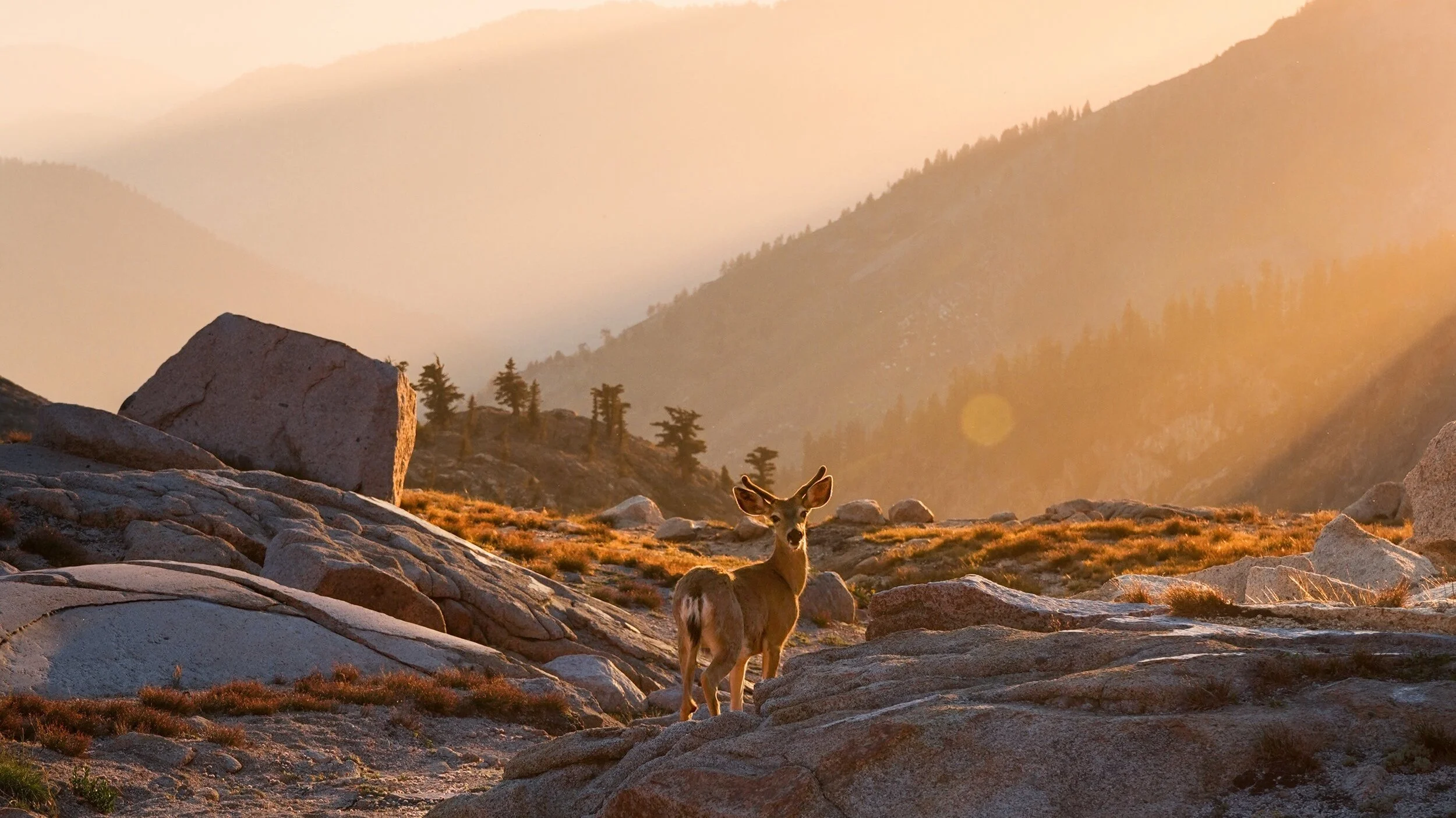 Devotional Music for Sunday, 7/26/2020