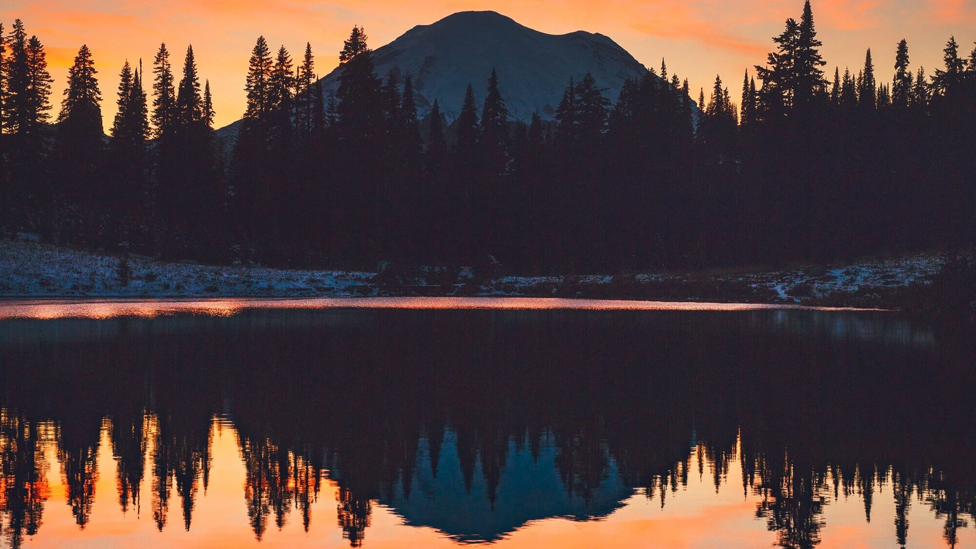 Season of Creation devotions offered by four heads of communion