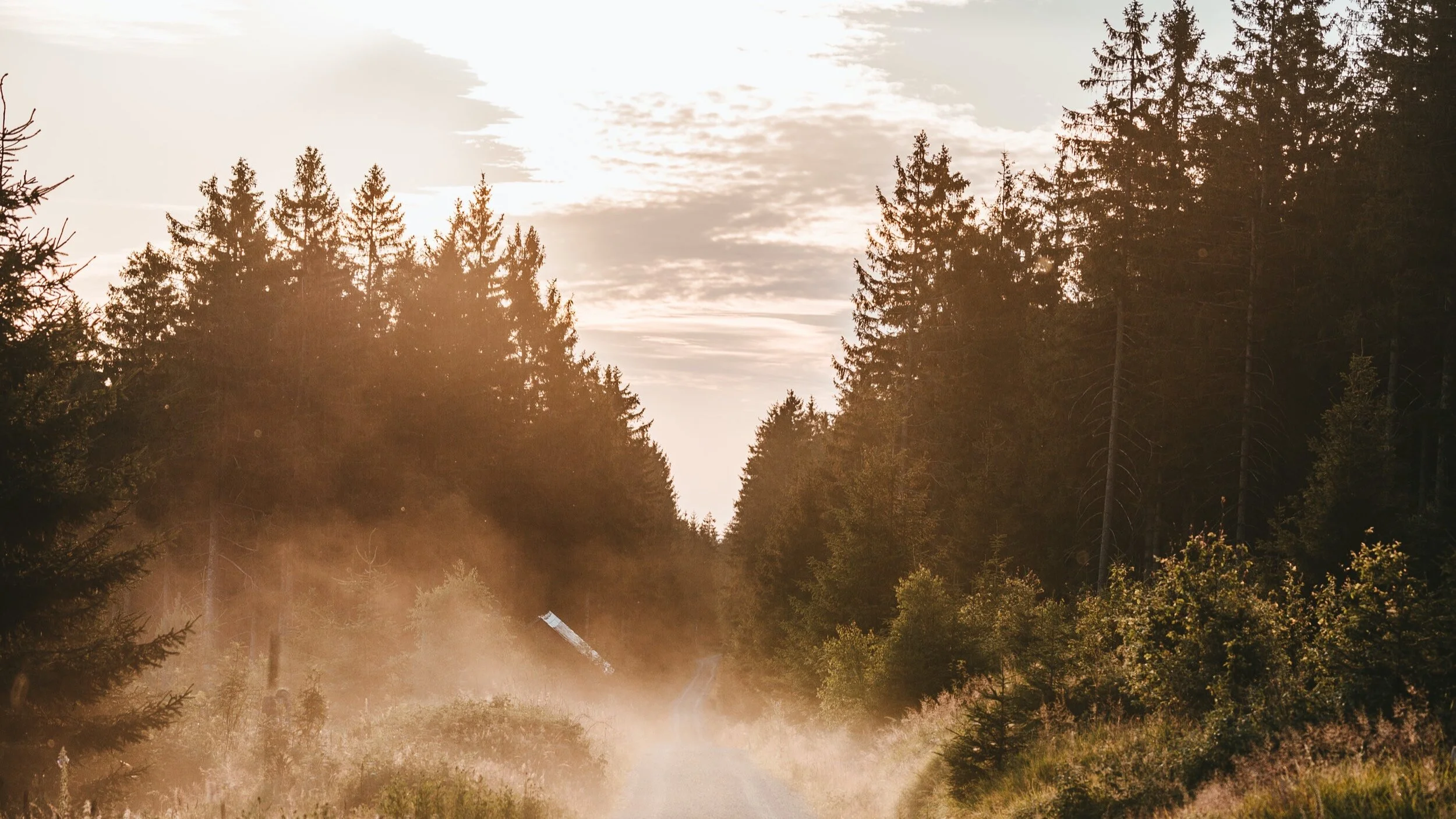 Season of Creation devotion: 9/6/2020