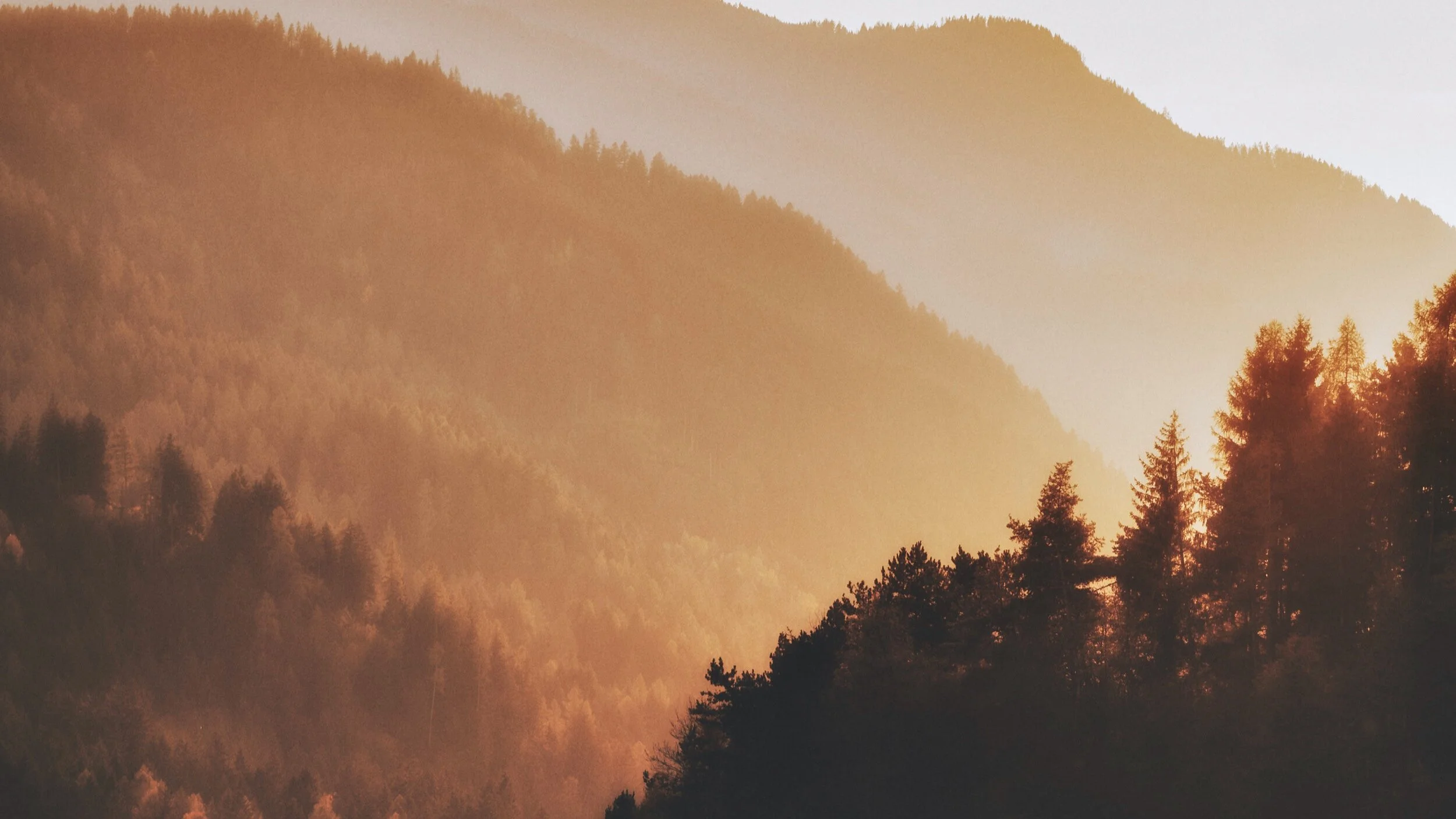 Season of Creation hymn: Light Dawns on a Weary World