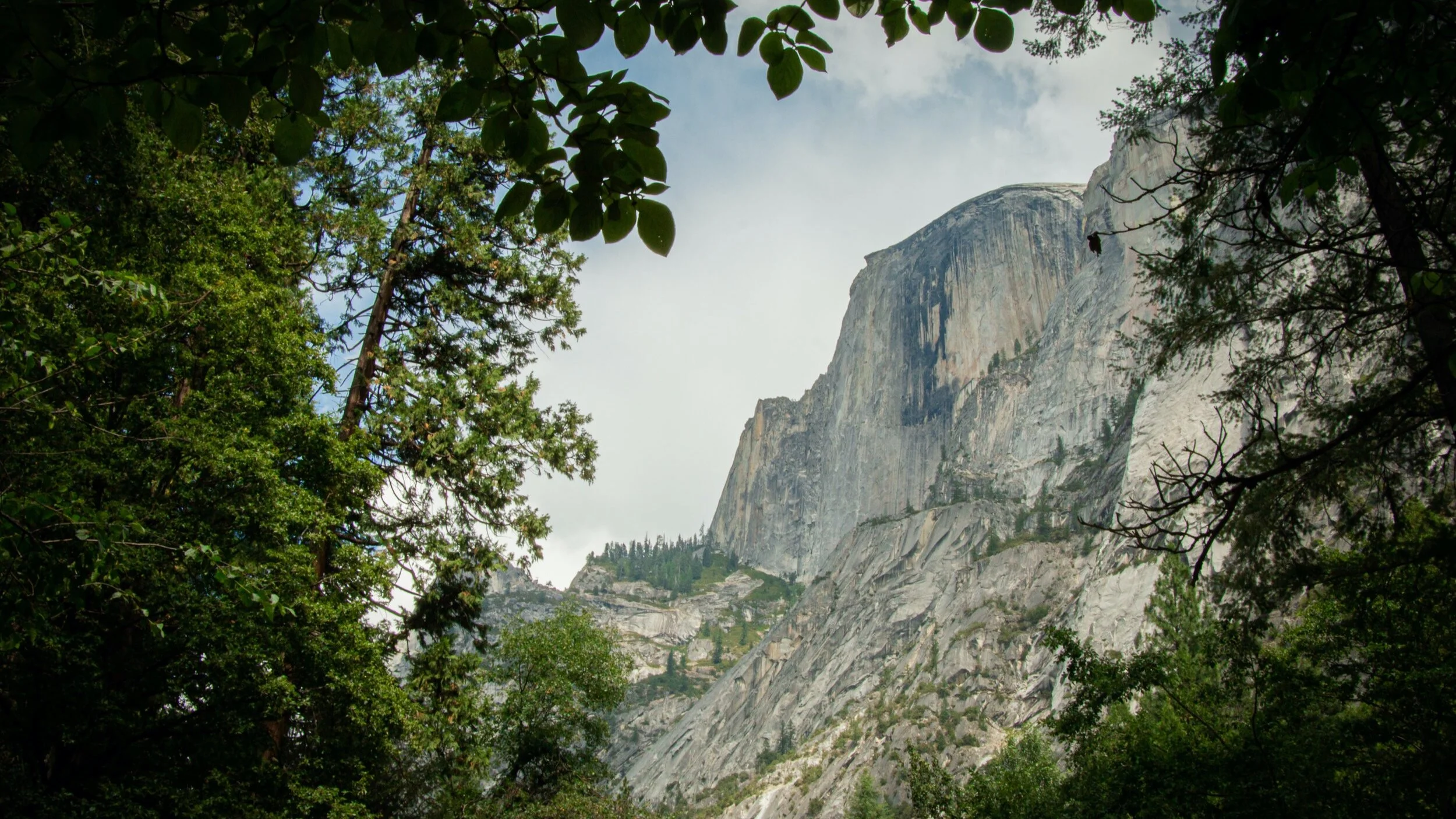 Season of Creation devotion hymn: He’s Got the Whole World in His Hands