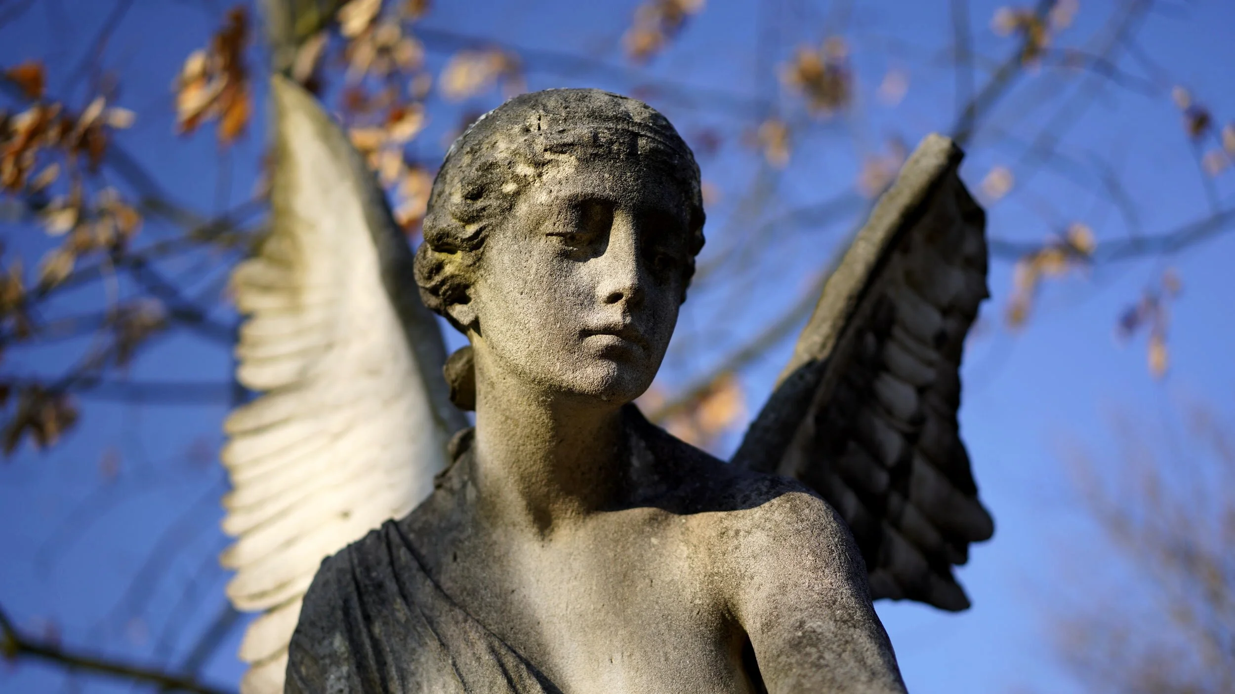 The Sacred Work of Grief, Part 2 - Rev. Solveig Nilsen-Goodin