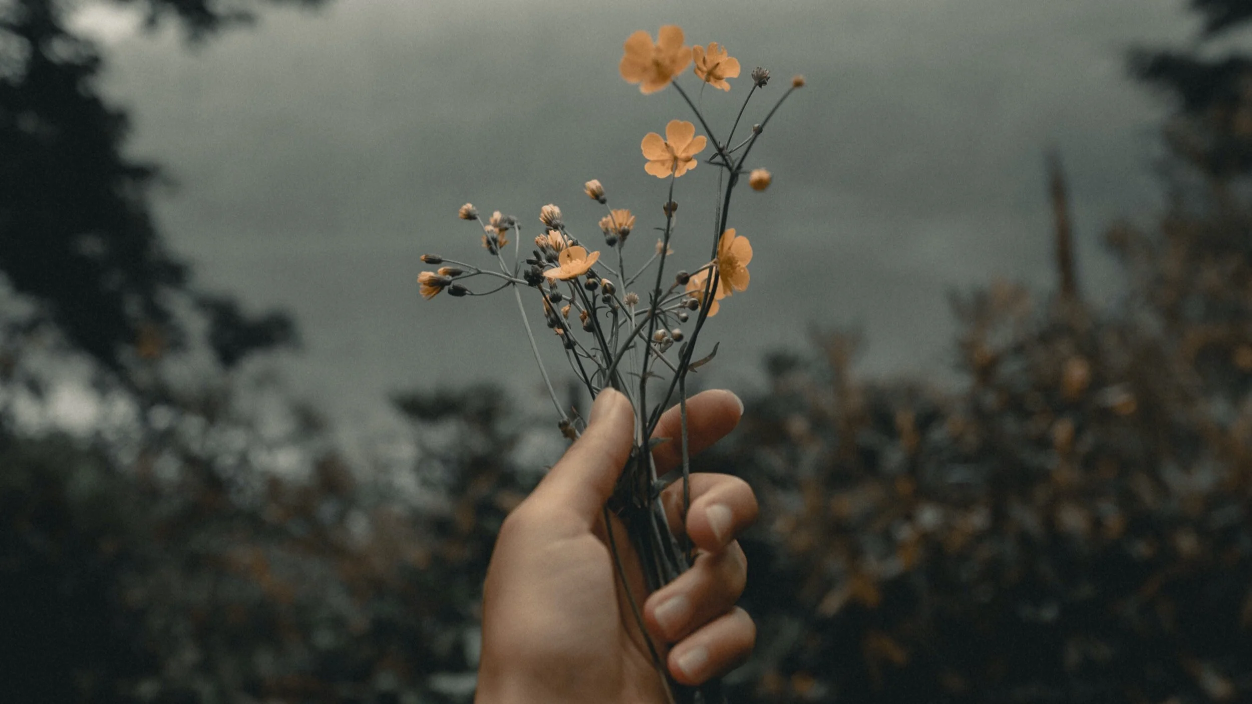 Beginning a Culture of Generosity registration deadline extended to 8/15/2020