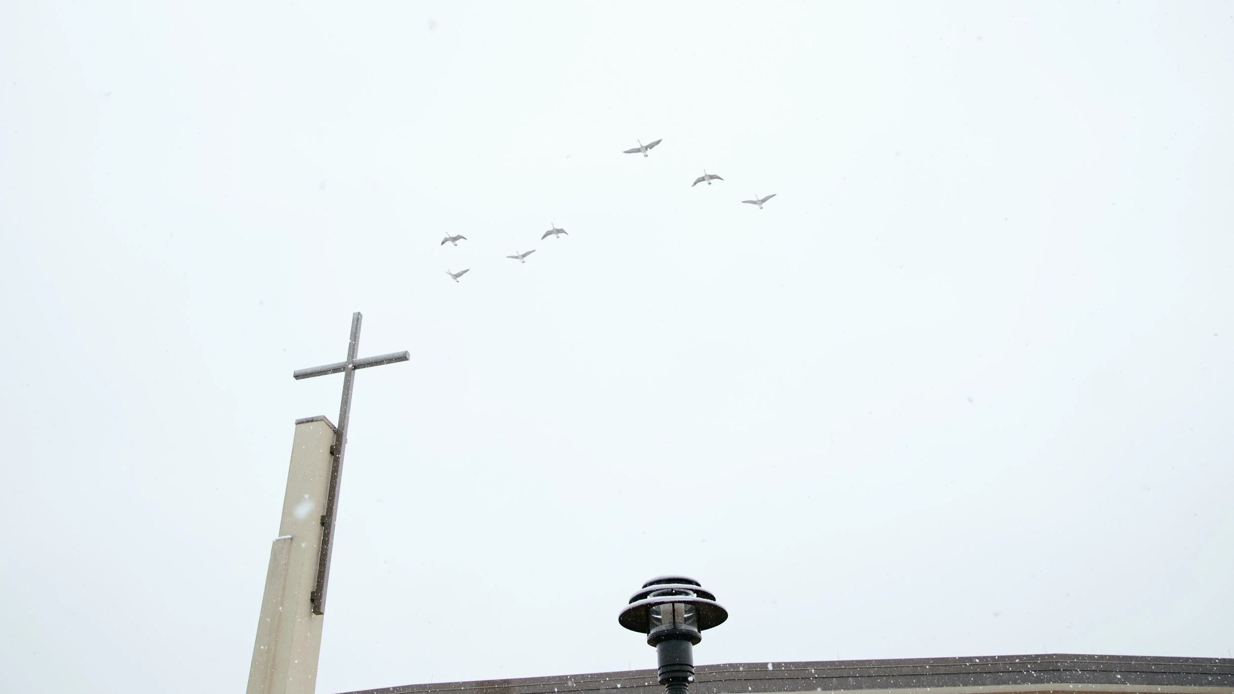 Allie Papke-Larson: The words we walk with