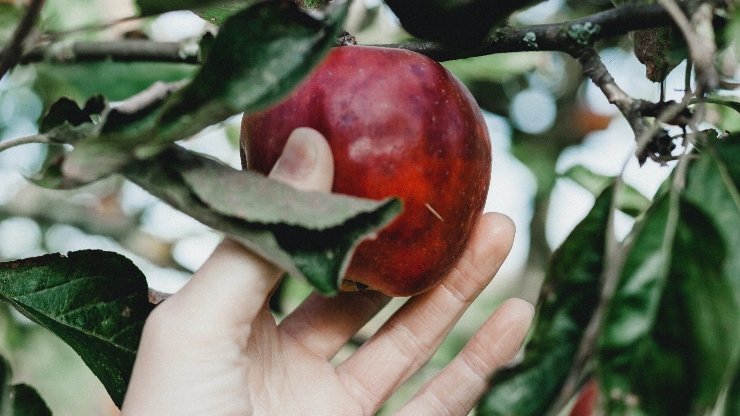 Last change to register for Beginning a Culture of Generosity