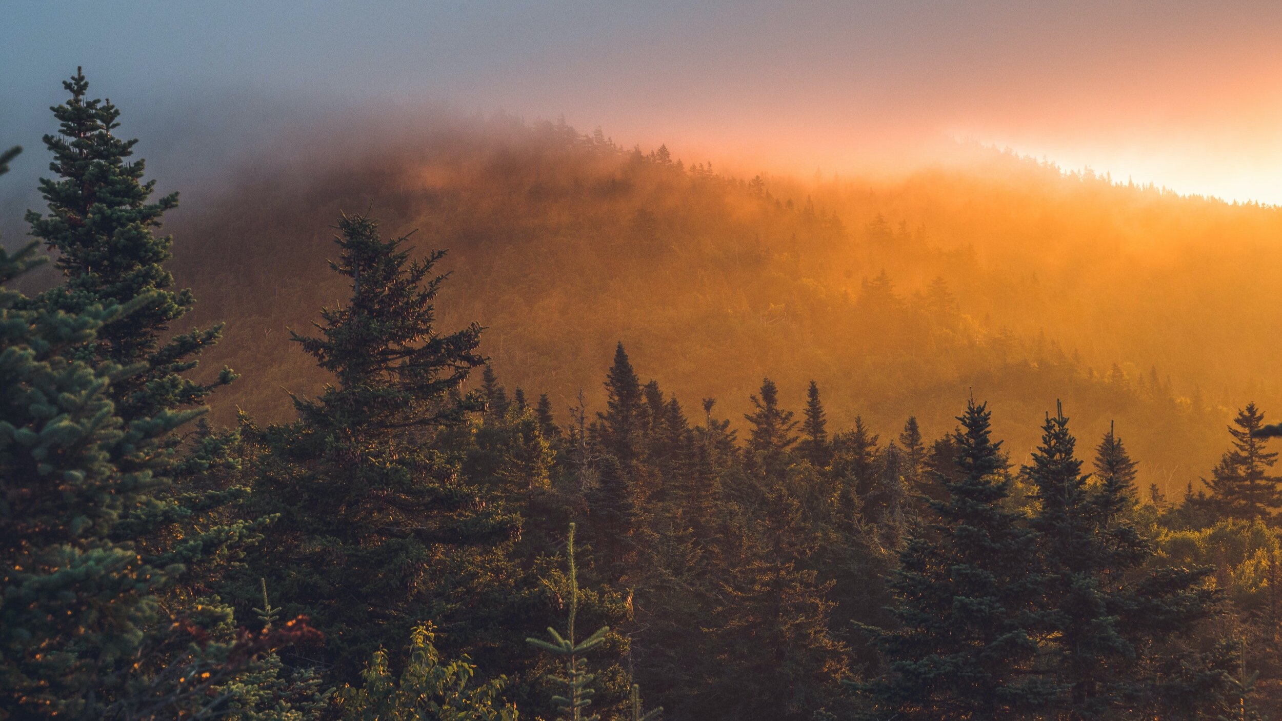 Save the Date: 9/20/2020 Creation focused video worship service