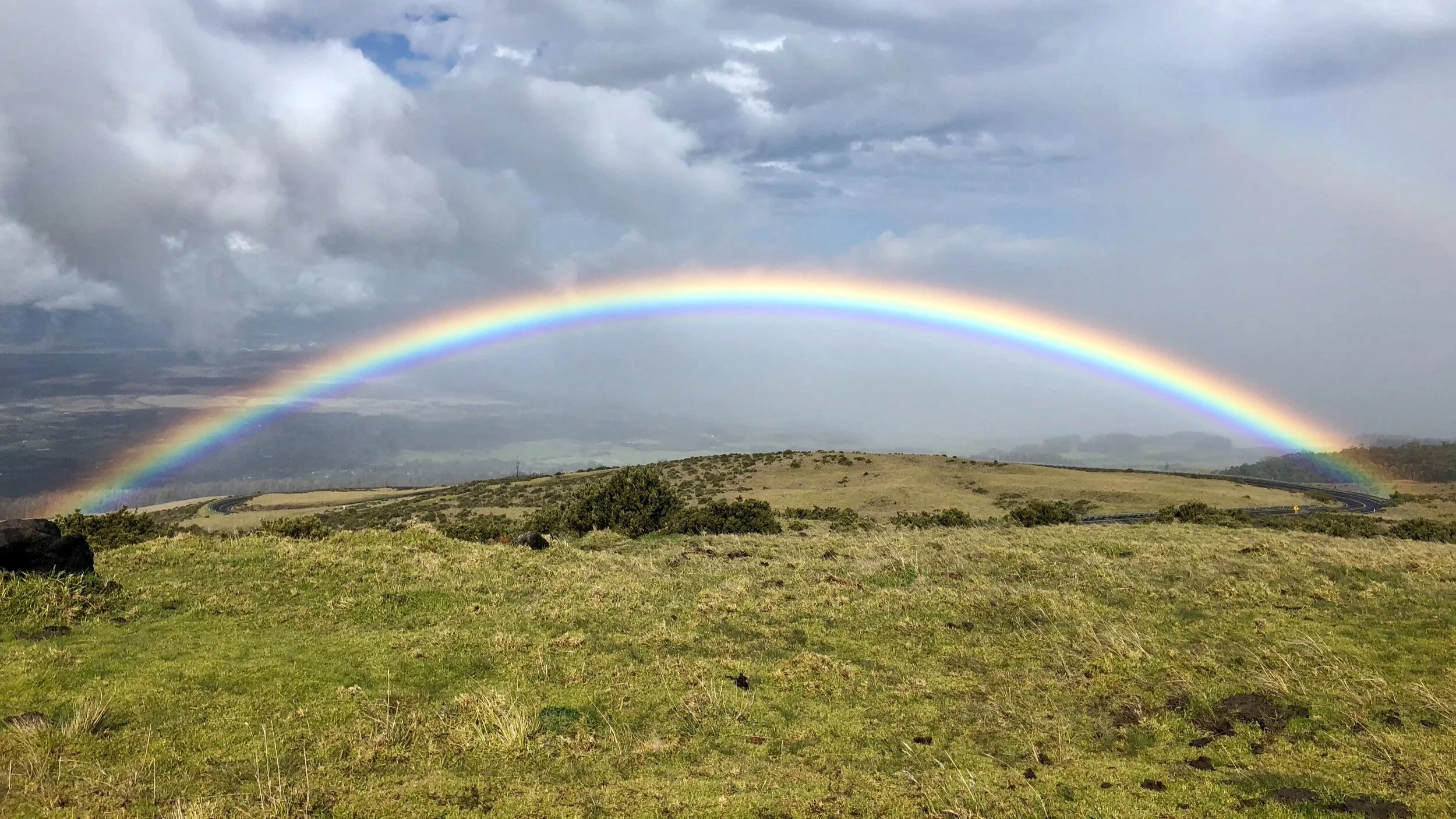 Lilly 3E stewardship program builds momentum