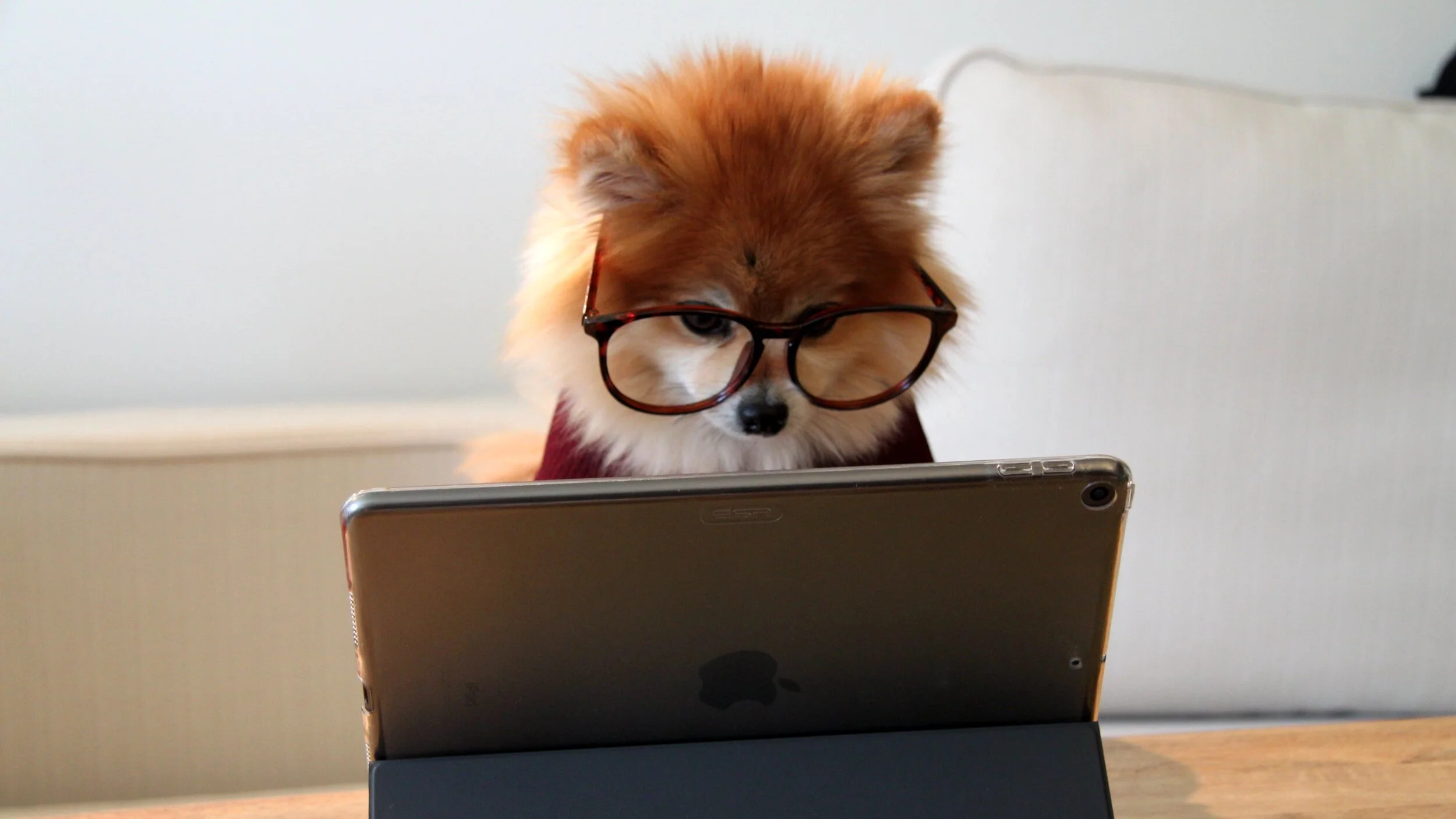 Scammers are impersonating as bishops, asking for money and gift cards