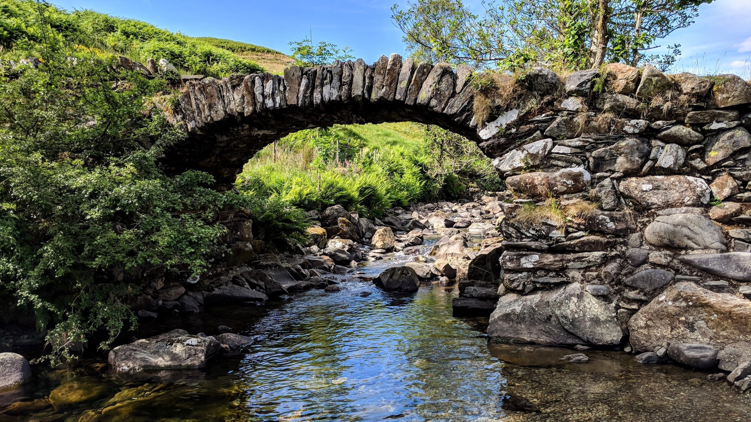 Lutherans Restoring Creation Worship Service will stream live