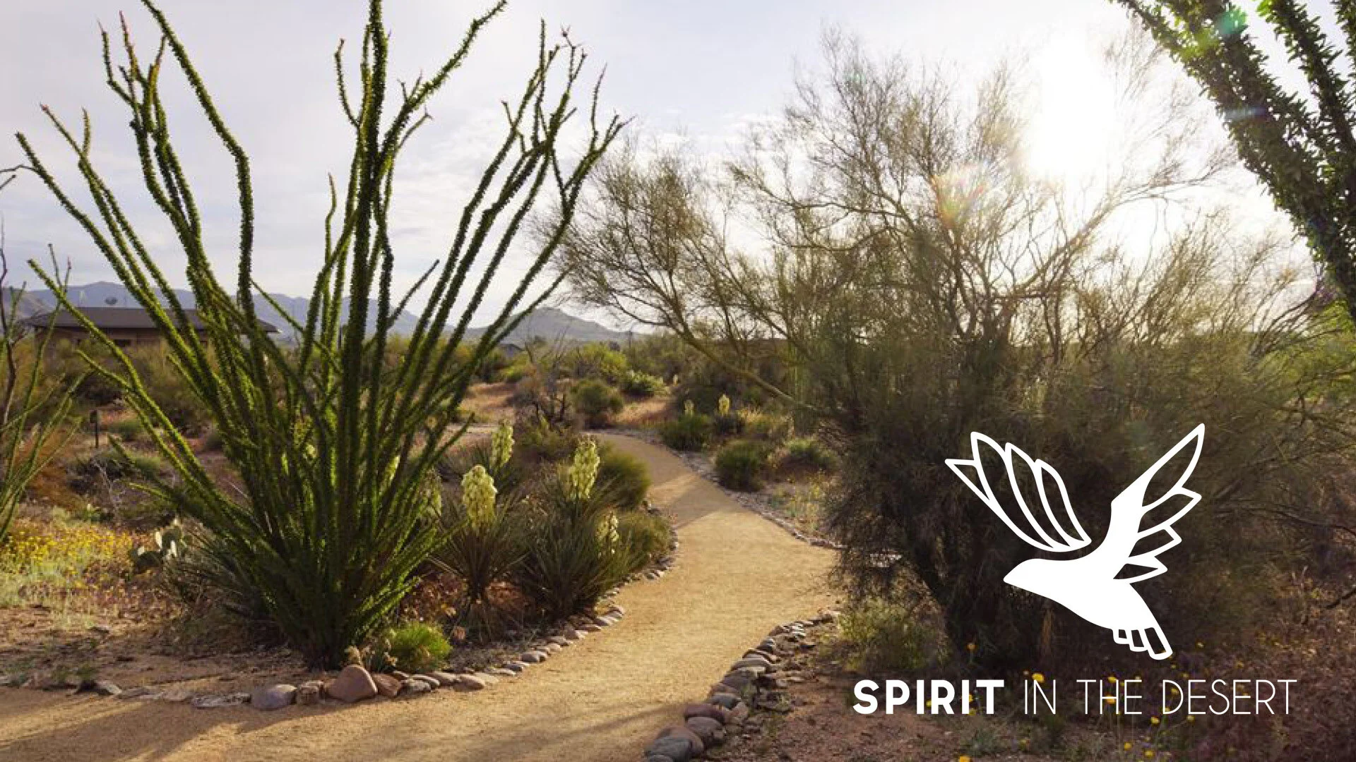 GCS Pastors invited to recharge at Spirit in the Desert Retreat Center