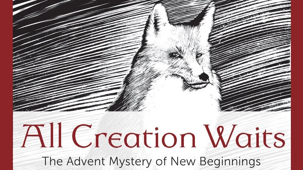 All Creation Waits: The Advent Mystery of New Beginnings