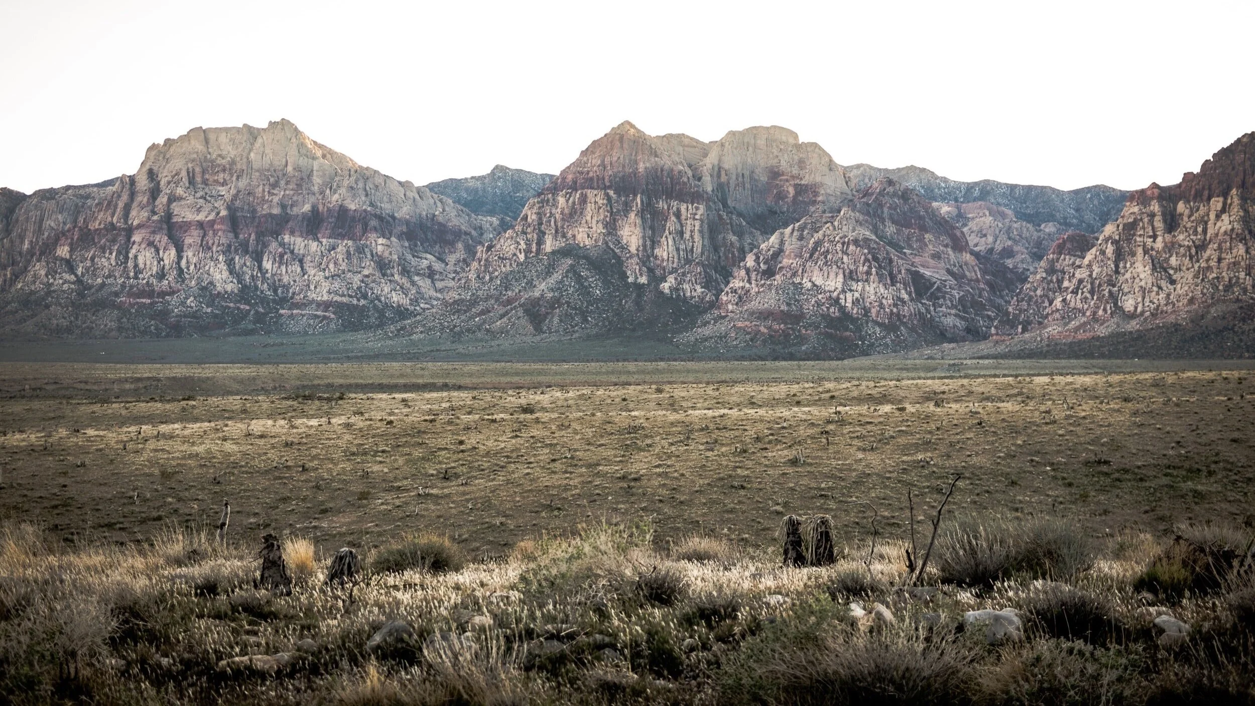 Lutheran Social Services of Nevada: January 2021 newsletter