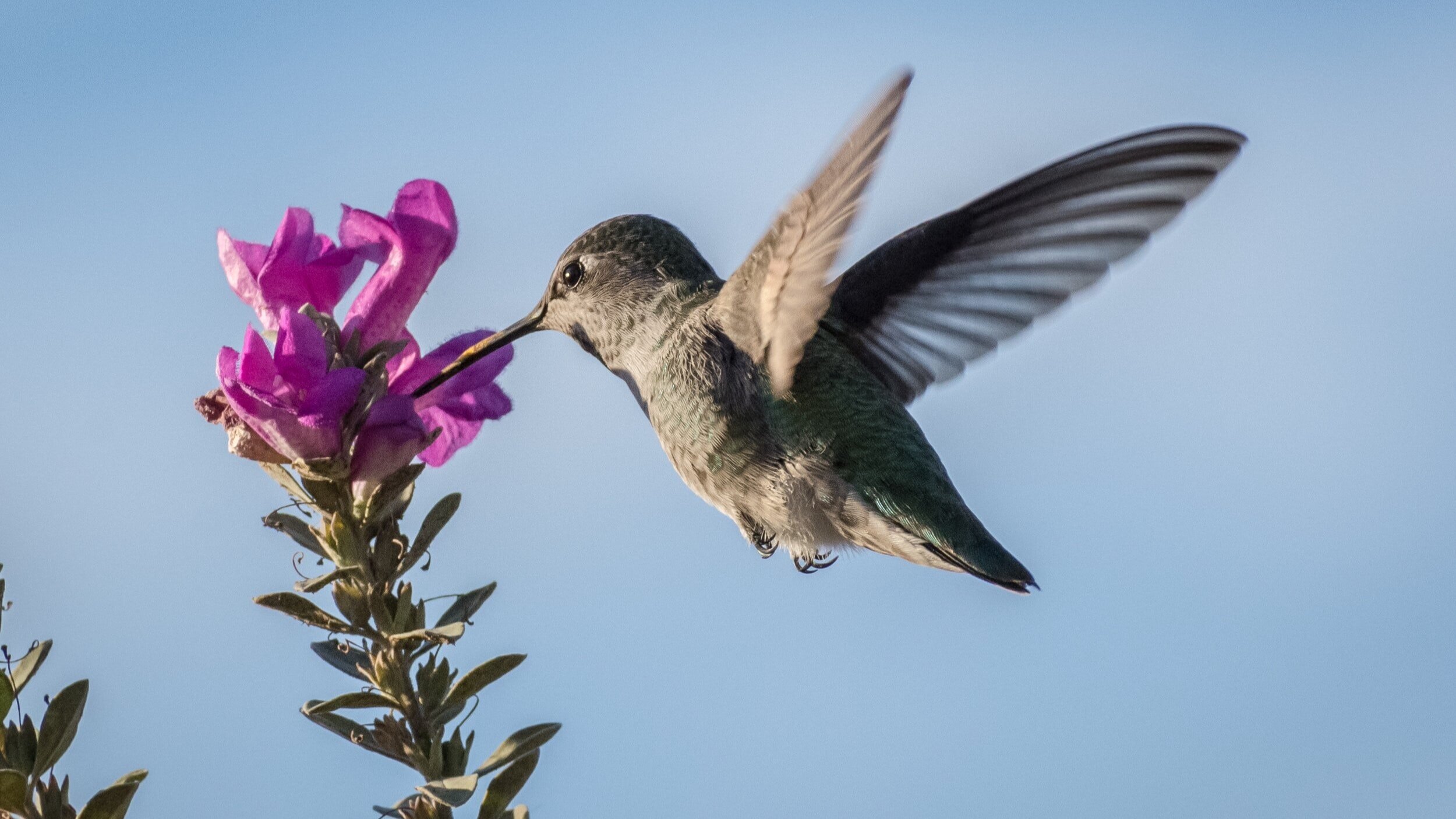 Last call for early bird registration to synod assembly 