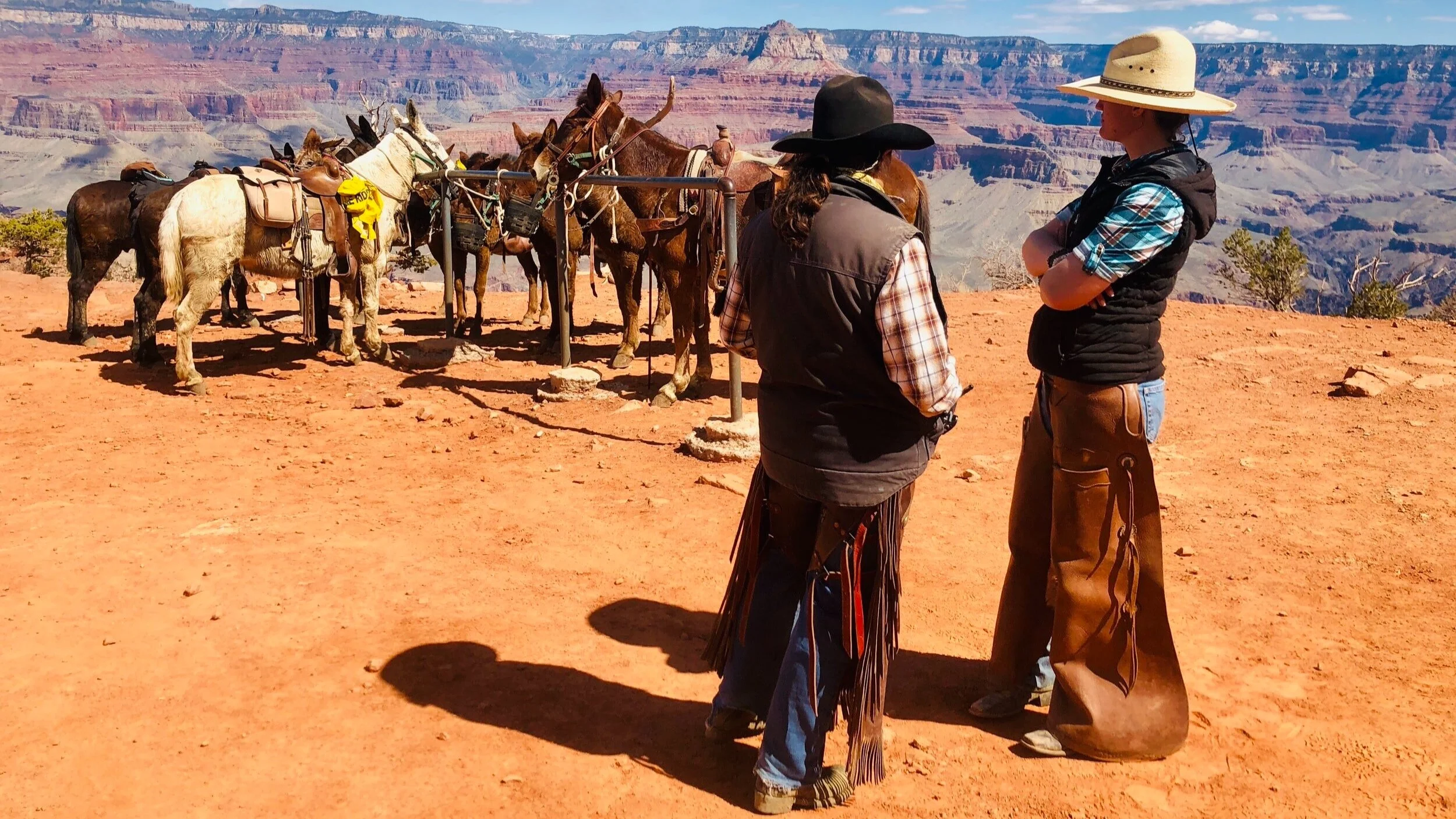 Two weeks to register for synod assembly