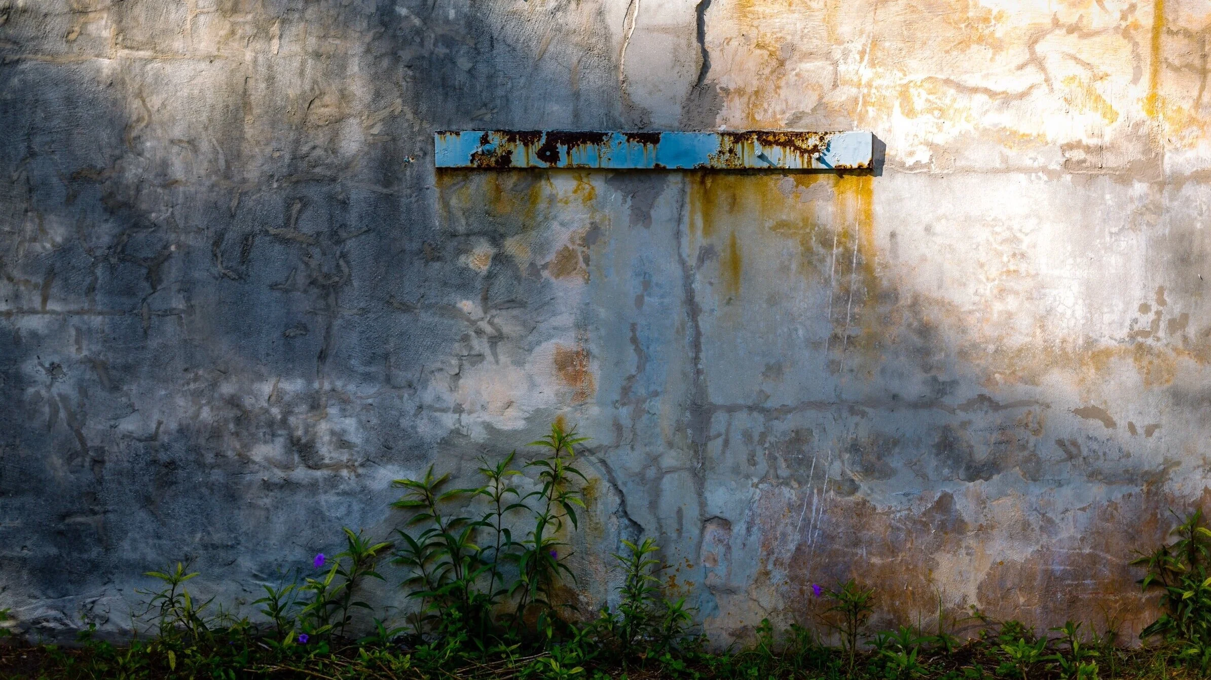 Welcoming Migrants at the Border and AMMPARO: A Whole-Church Response Mobilized