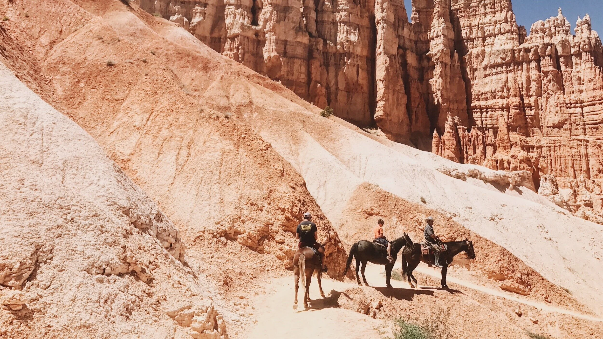 Assembly Resolutions and Memorials due 4/30/2021