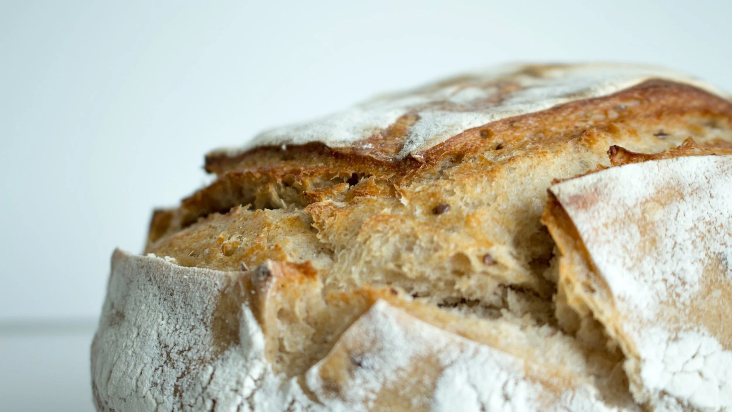 New round of Daily Bread Matching Grants launches soon