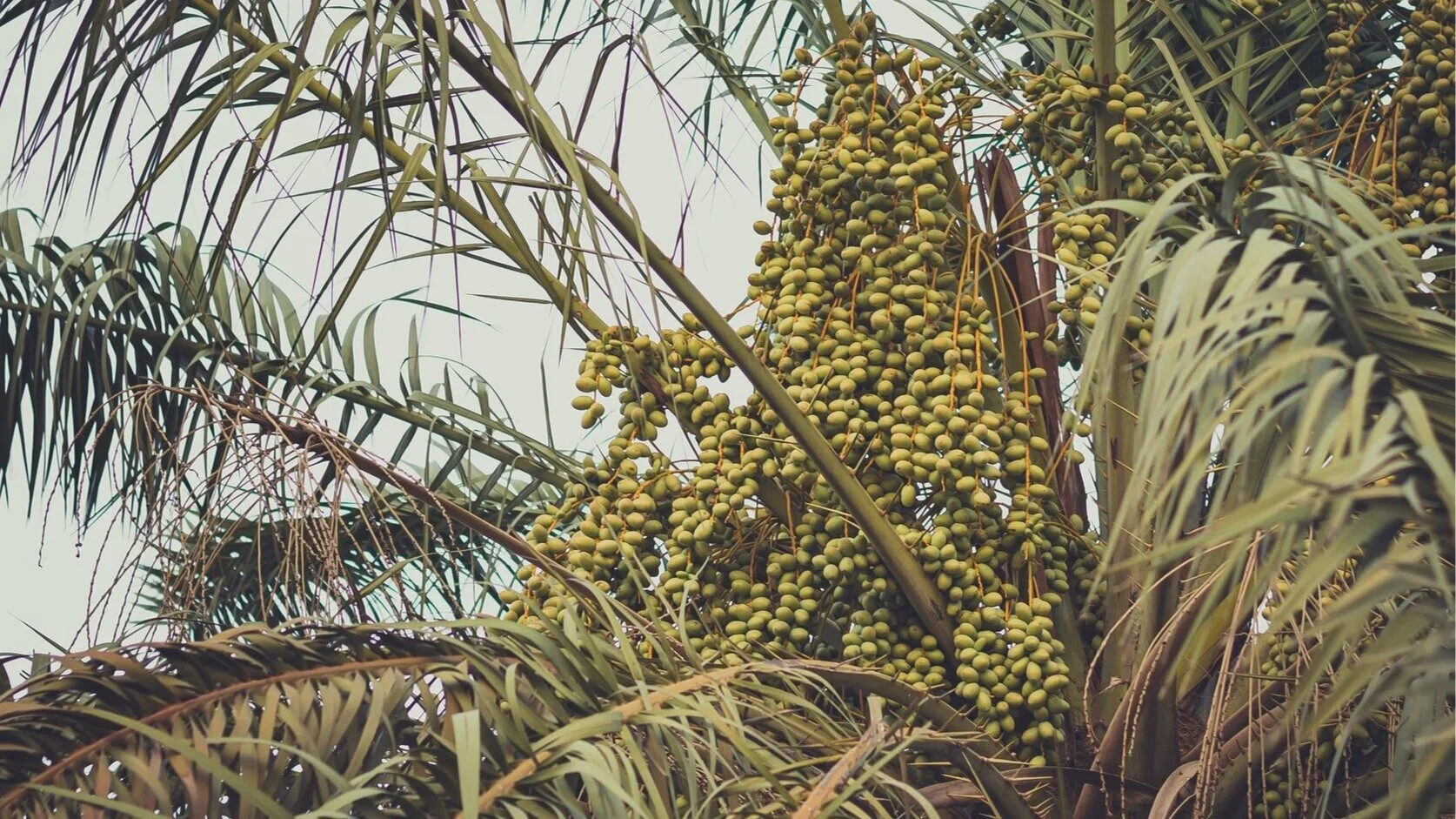 2021 Assembly Important Dates