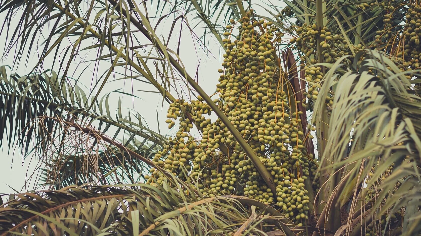 Important dates for 2021 assembly