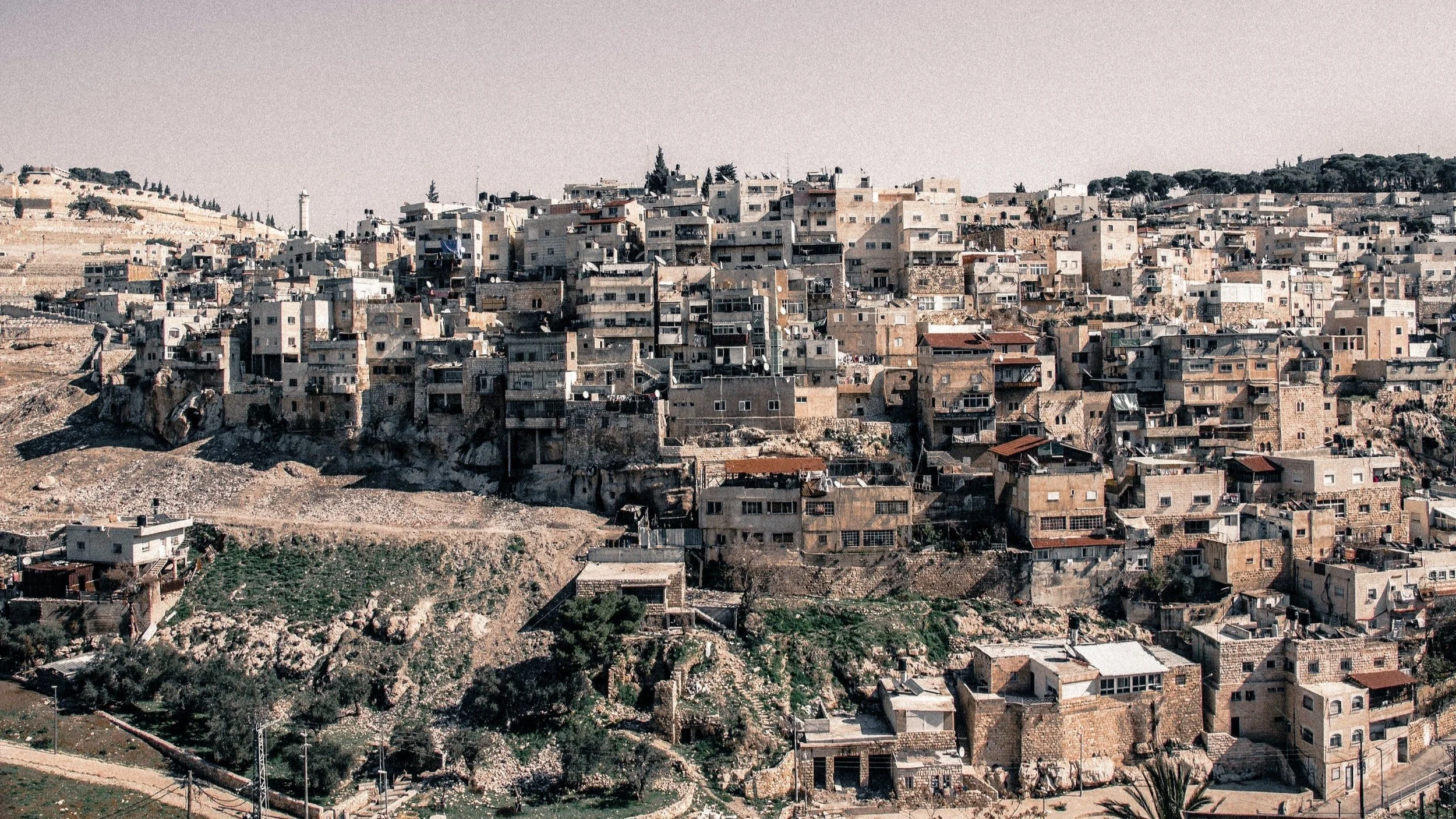 ELCA opposes designation of Palestinian human rights groups as terrorist organizations