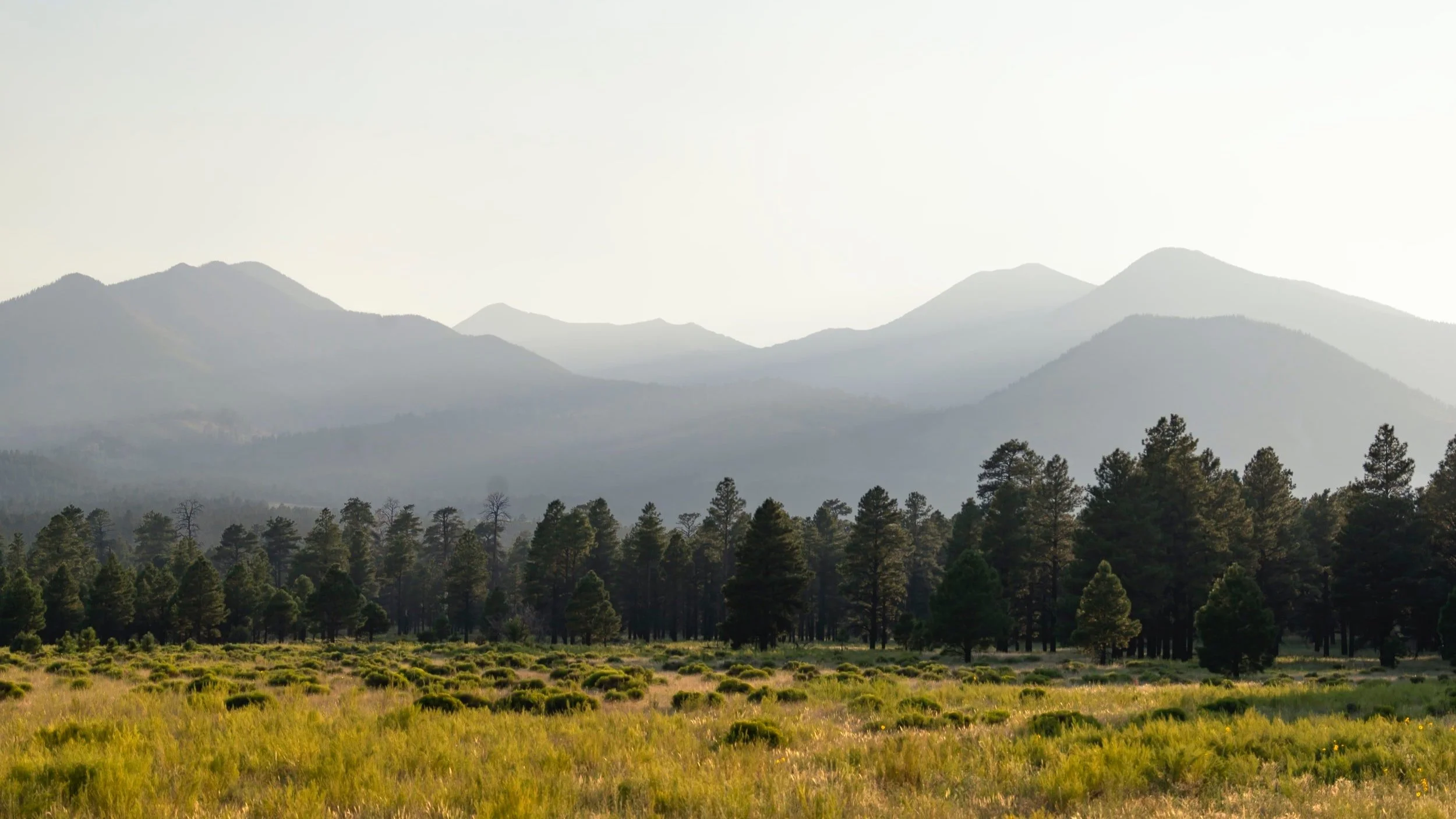 Prayers for the family of Pastor Jeff and Renae Gallen