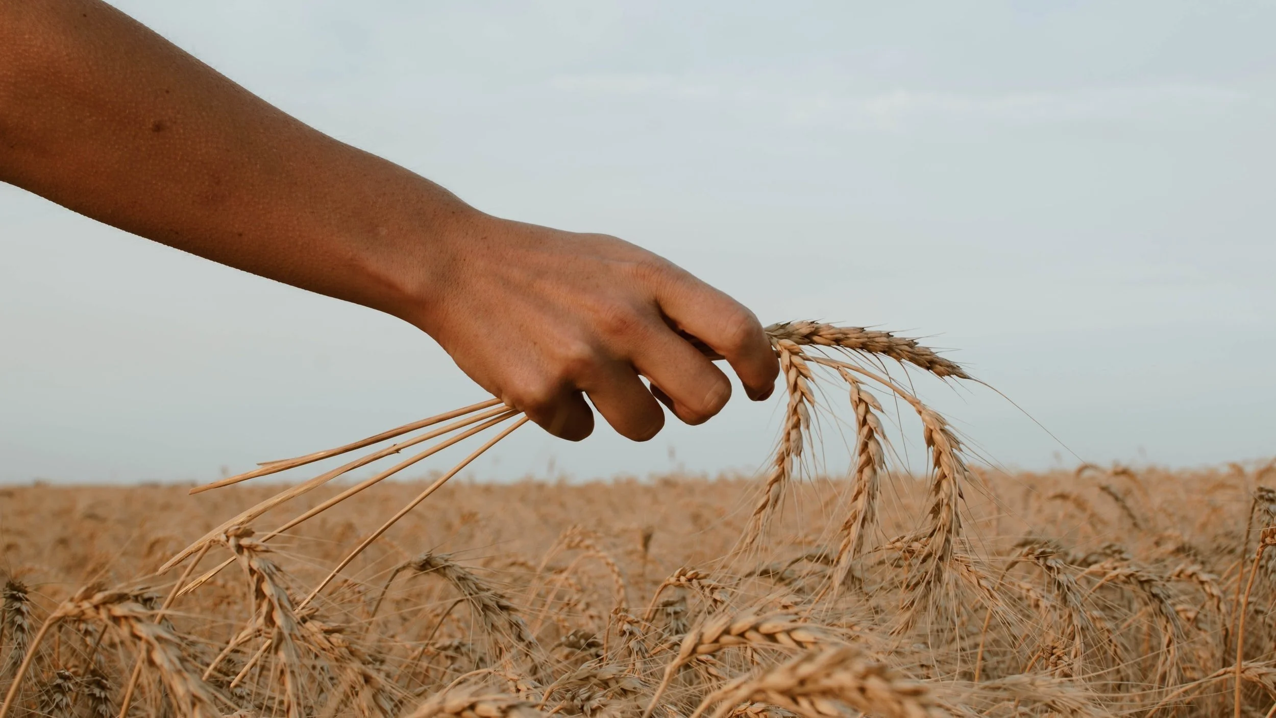 Presiding Bishop Eaton to join GCS Hunger Leaders Network Meeting