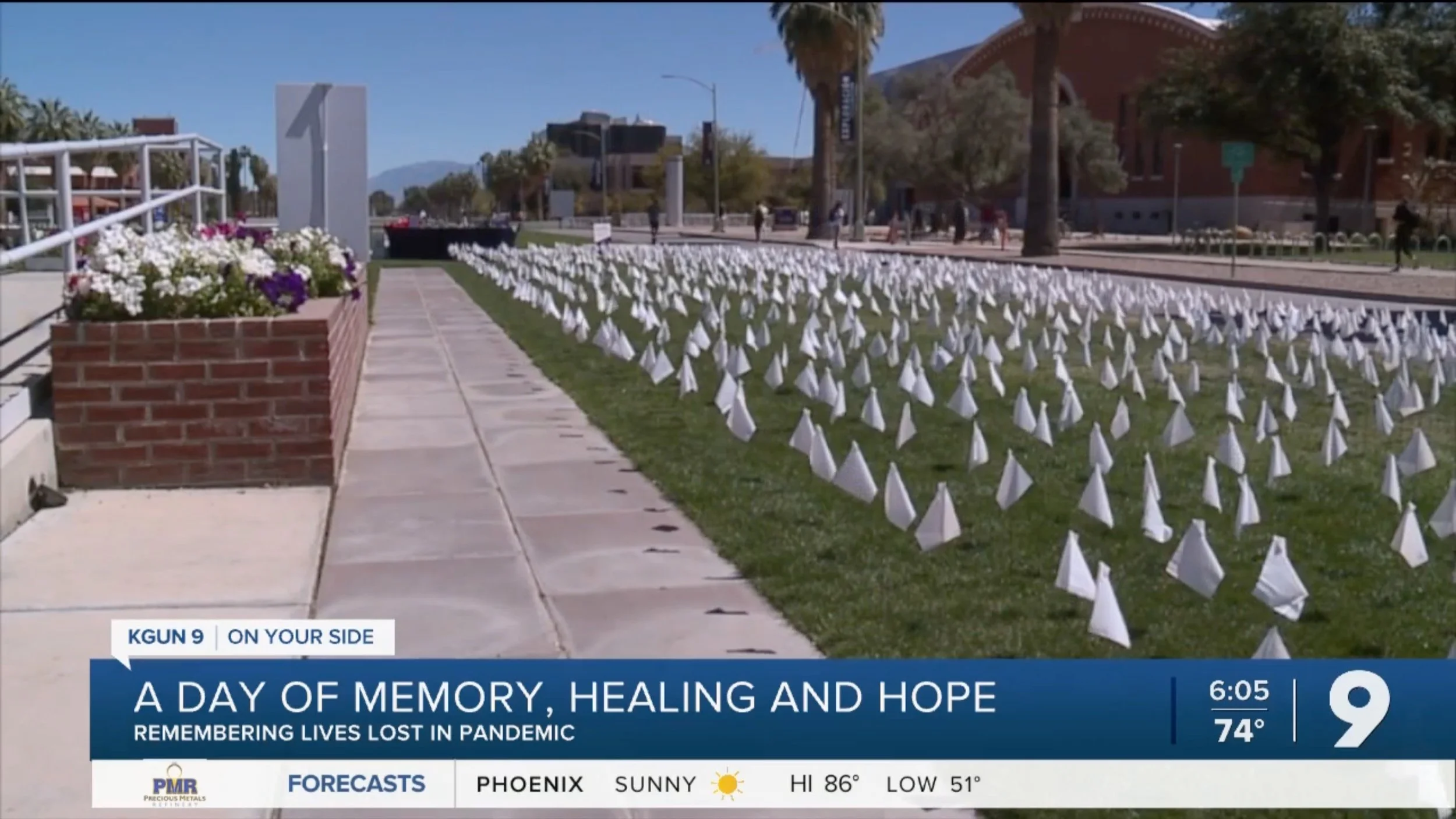Thousands of flags placed to remember lives lost during pandemic