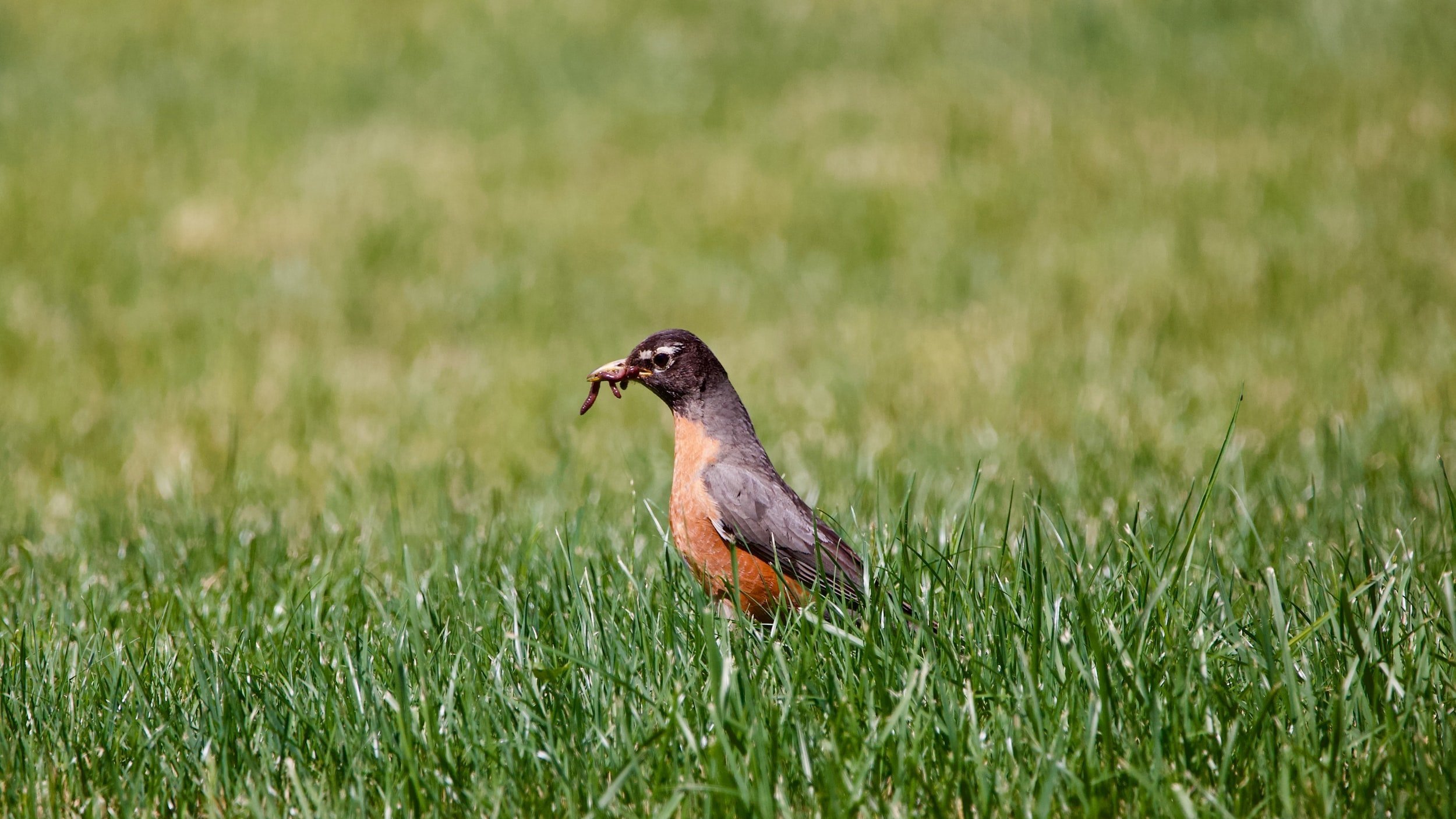 Last call for early bird registration to 2022 synod assembly
