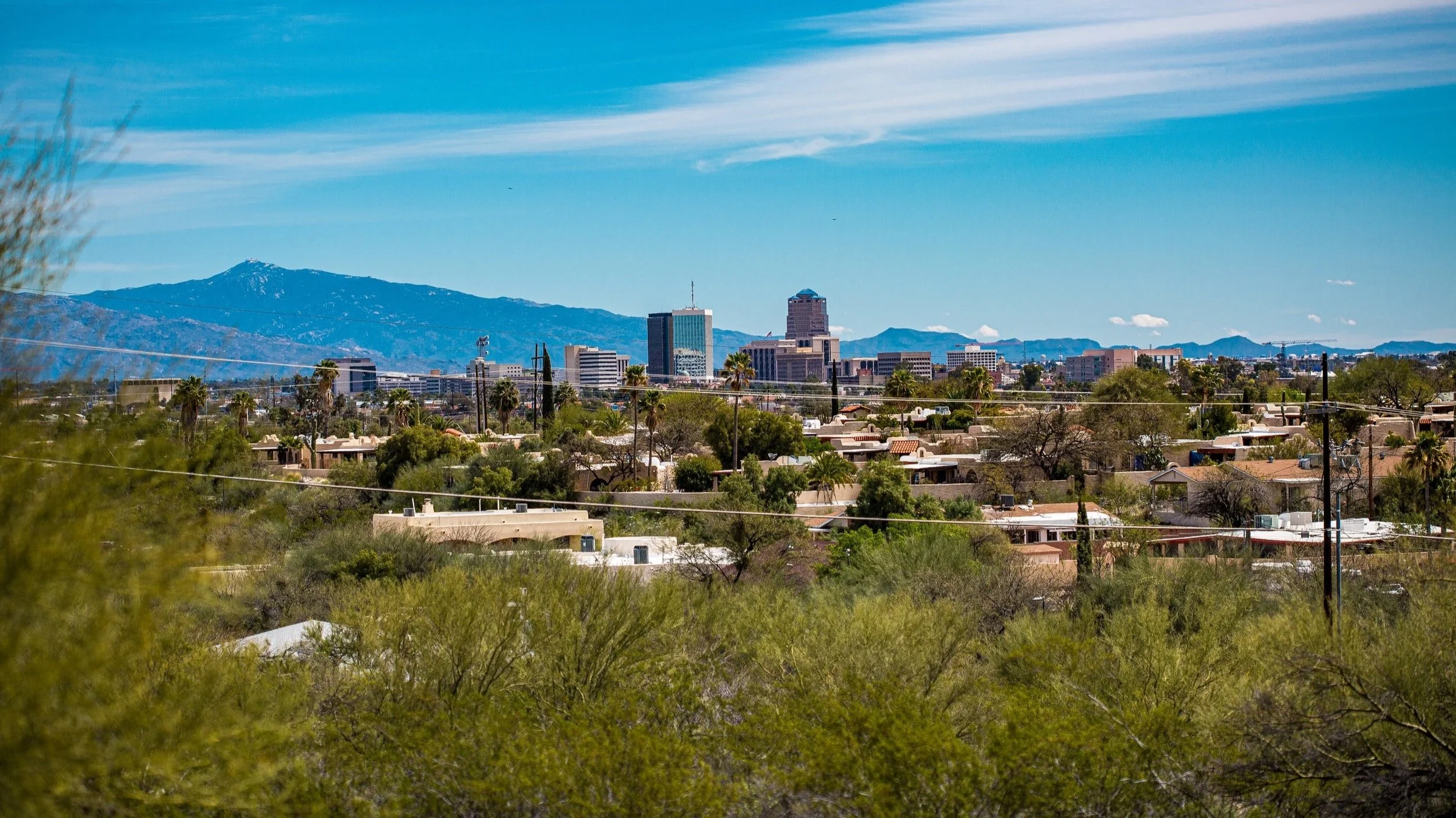 Office of the Bishop Updates: 4/29/2022