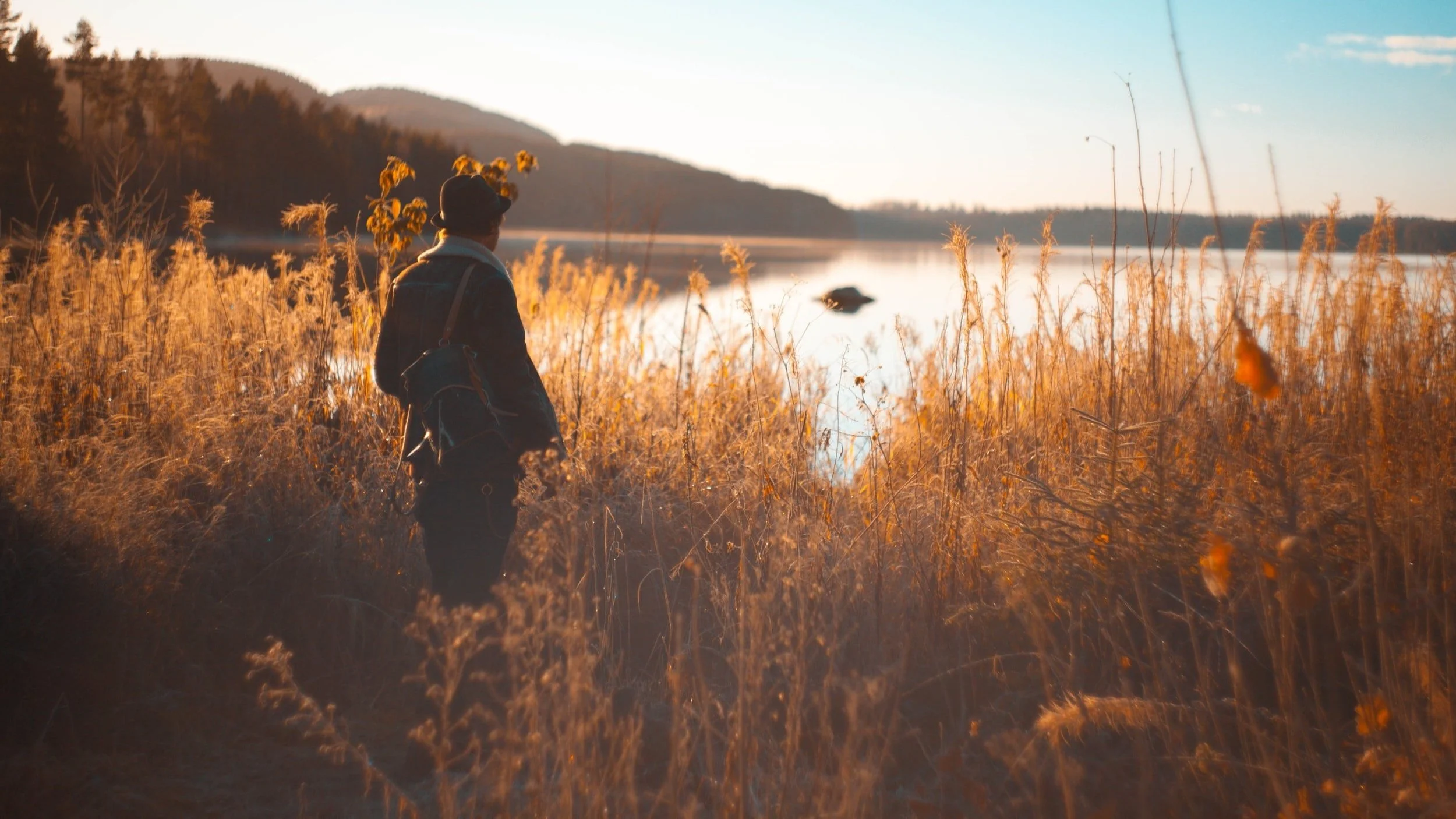 Thriving Leadership Formation (TLF): Contemplative Action Cohorts Forming Now!