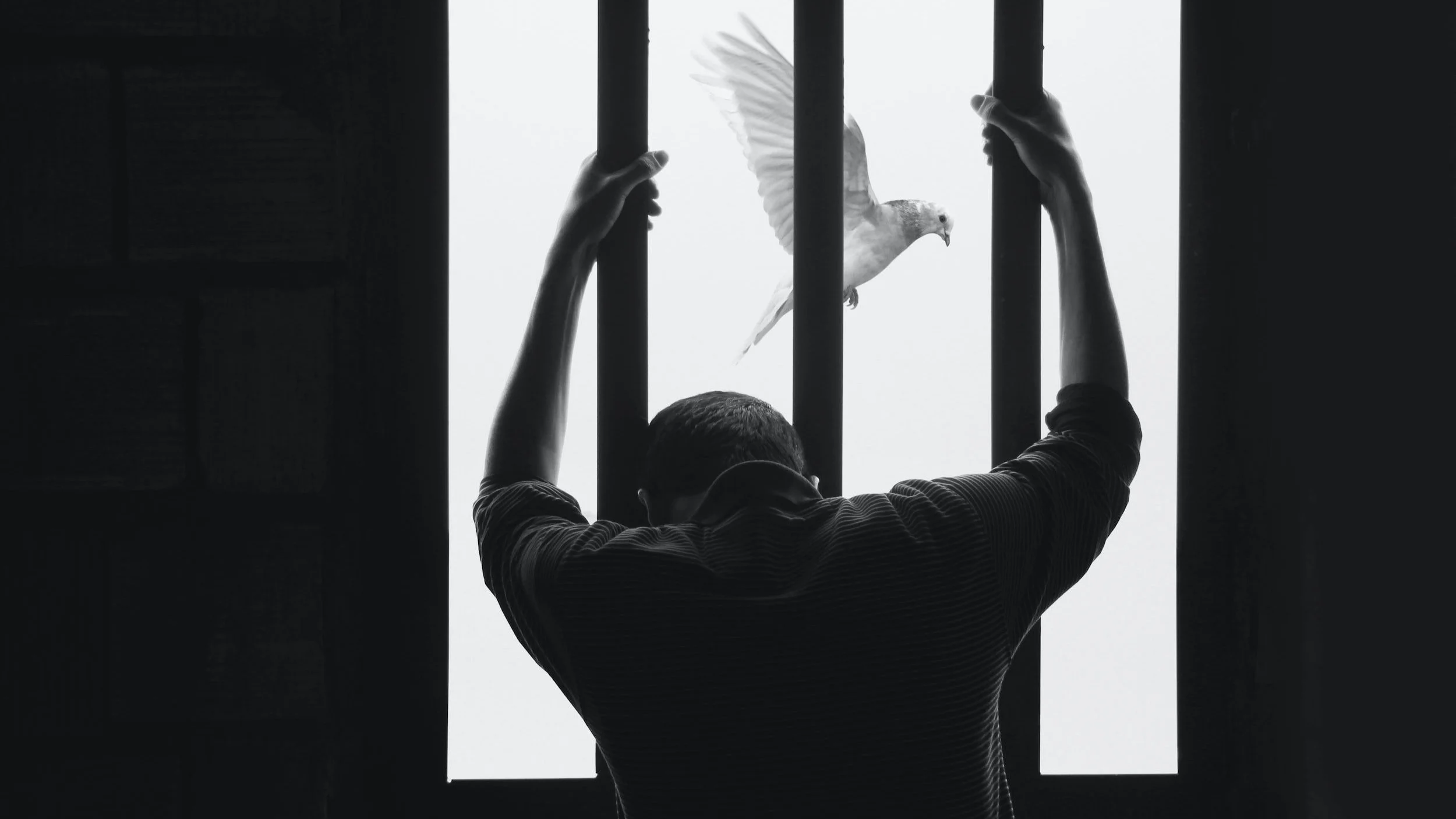 Faith Lens: Lord Have Mercy