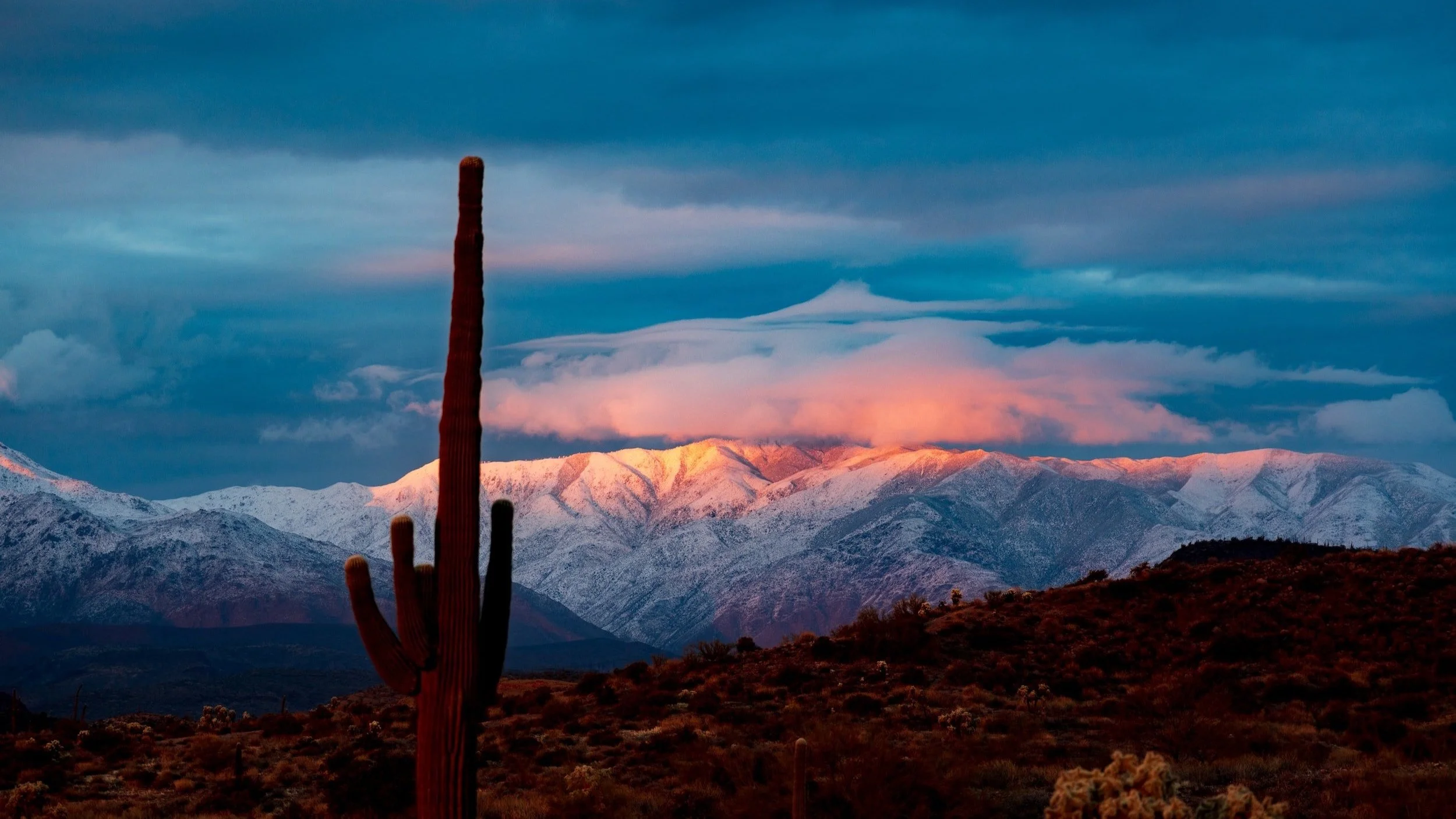 Office of the Bishop Updates: 12/23/2022